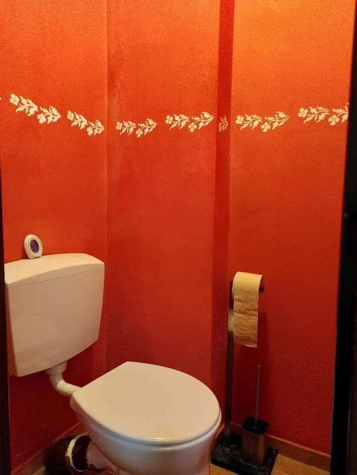 Toilet in Bio-Hotel Zum Forsthaus