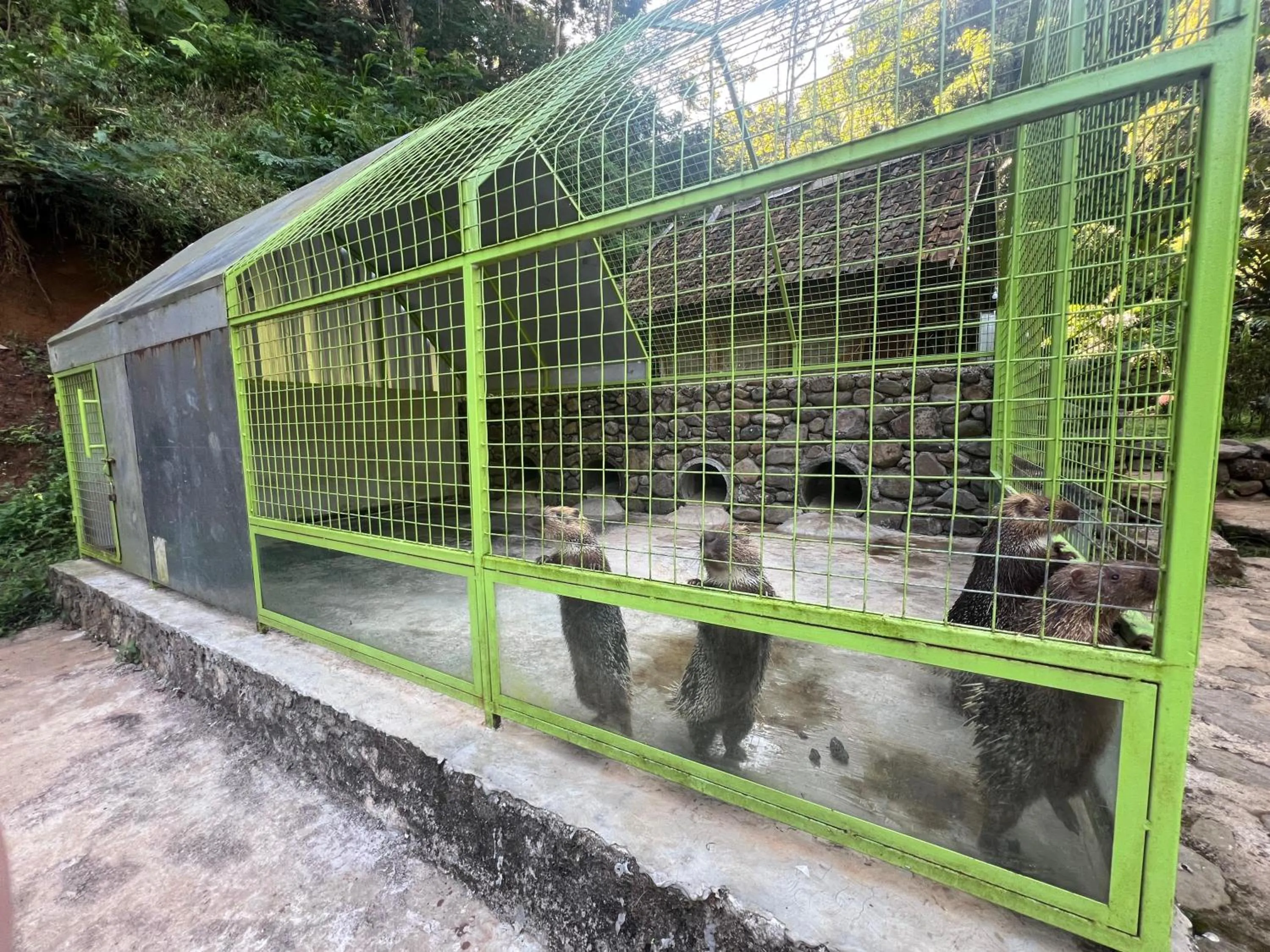 Kampung Karuhan Eco Green Park Sumedang