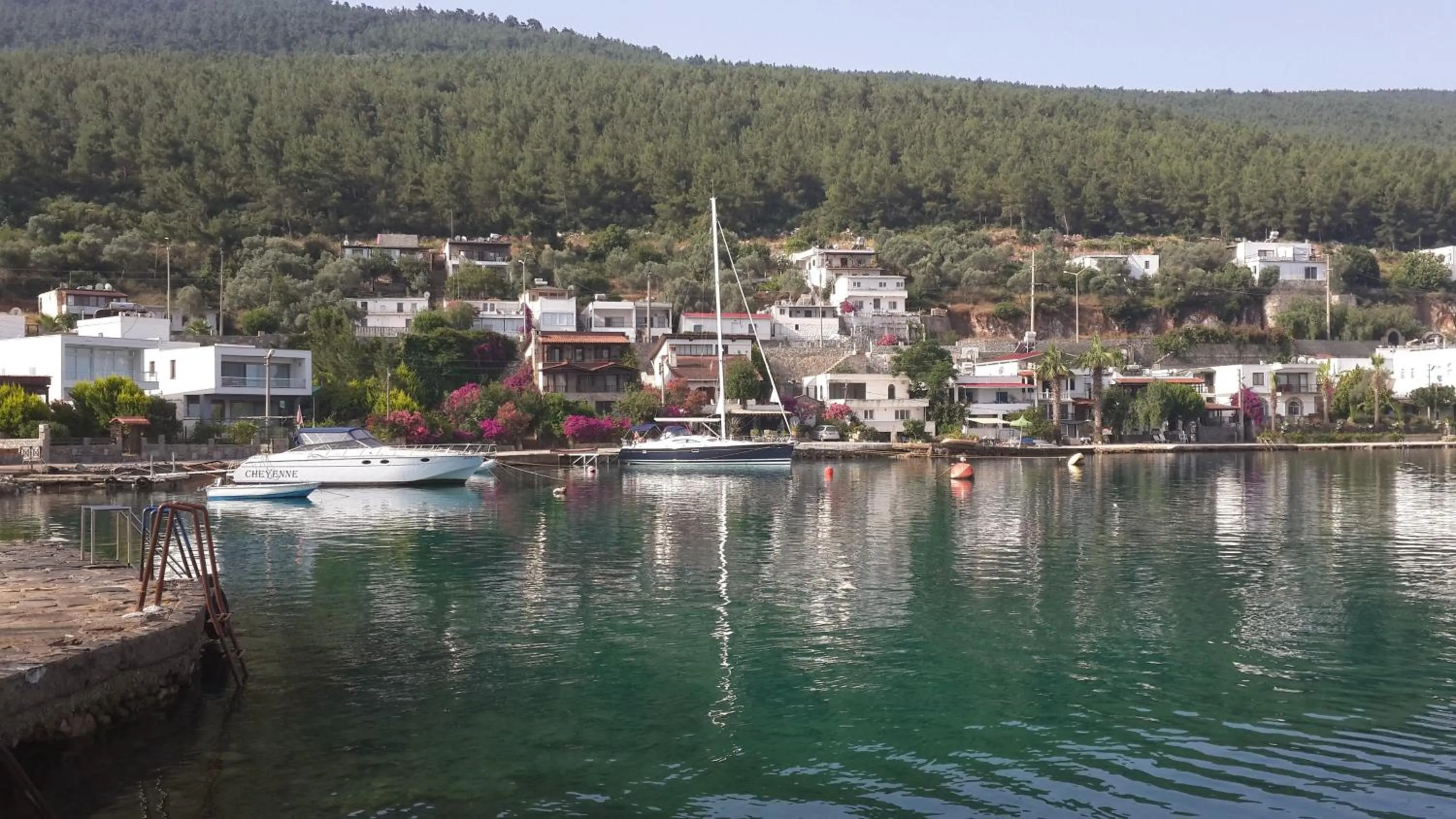 Summer in Zena Hotel Bodrum