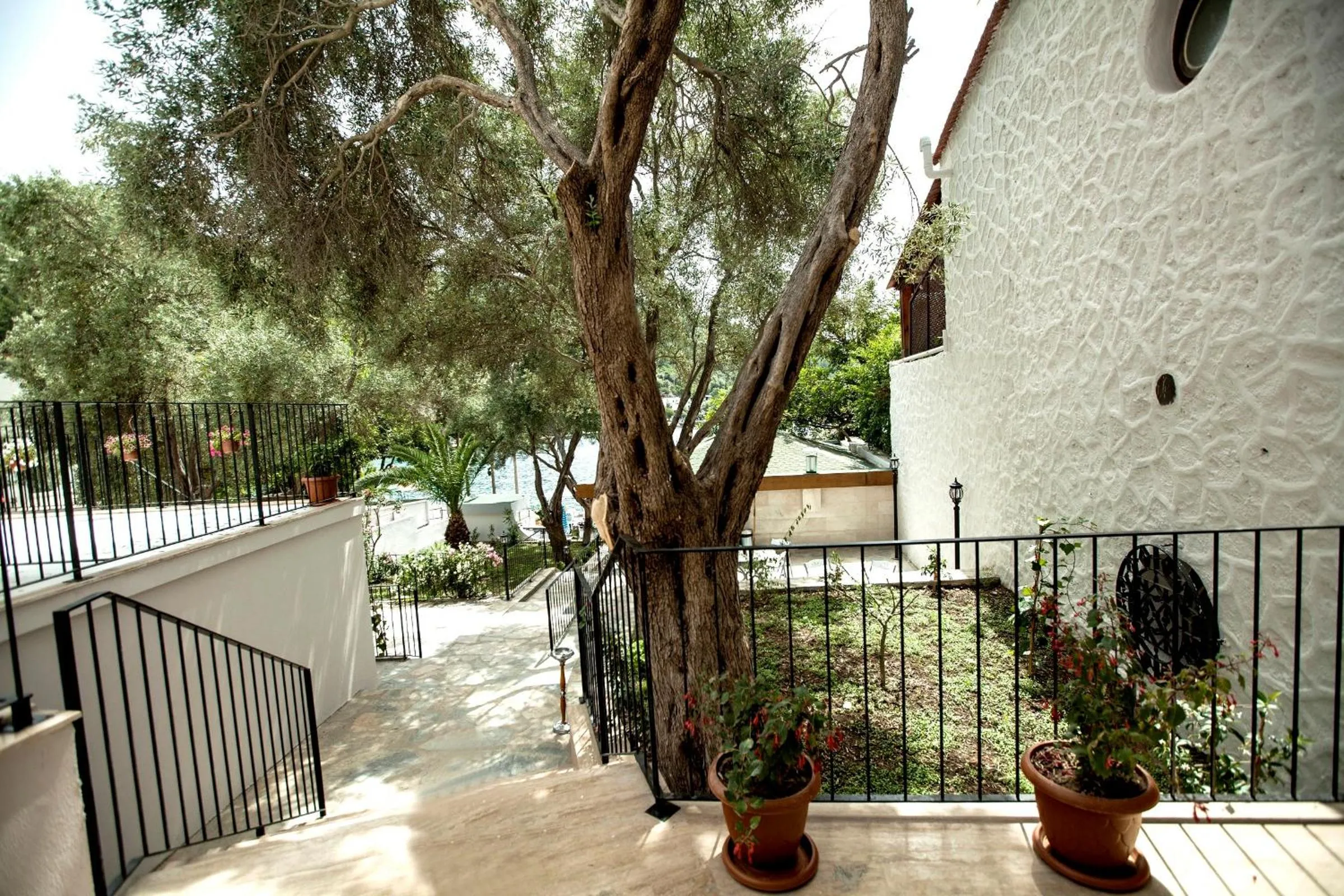 Garden in Zena Hotel Bodrum