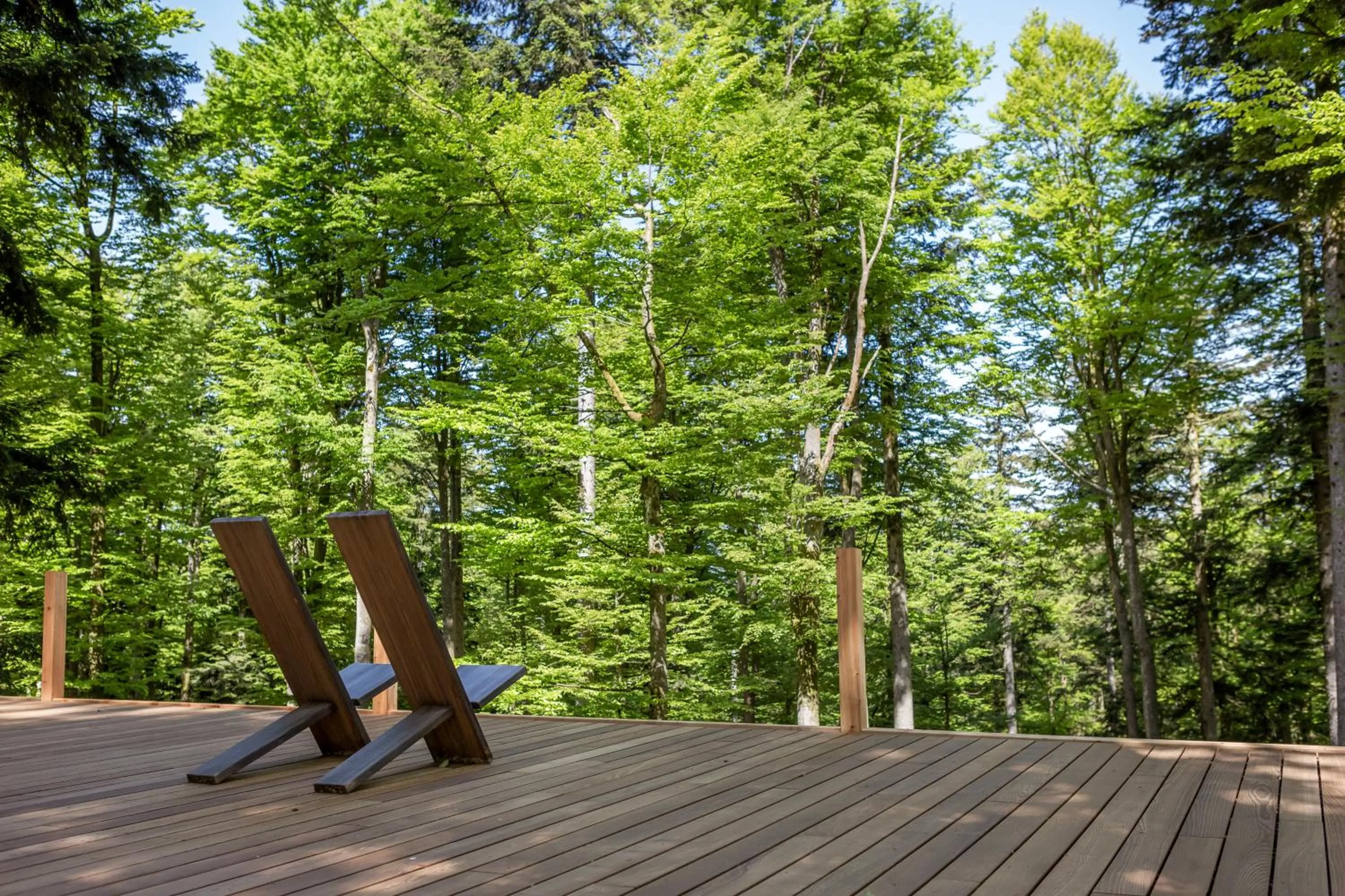 Spa and wellness centre/facilities in Wellness & Naturresort Reischlhof