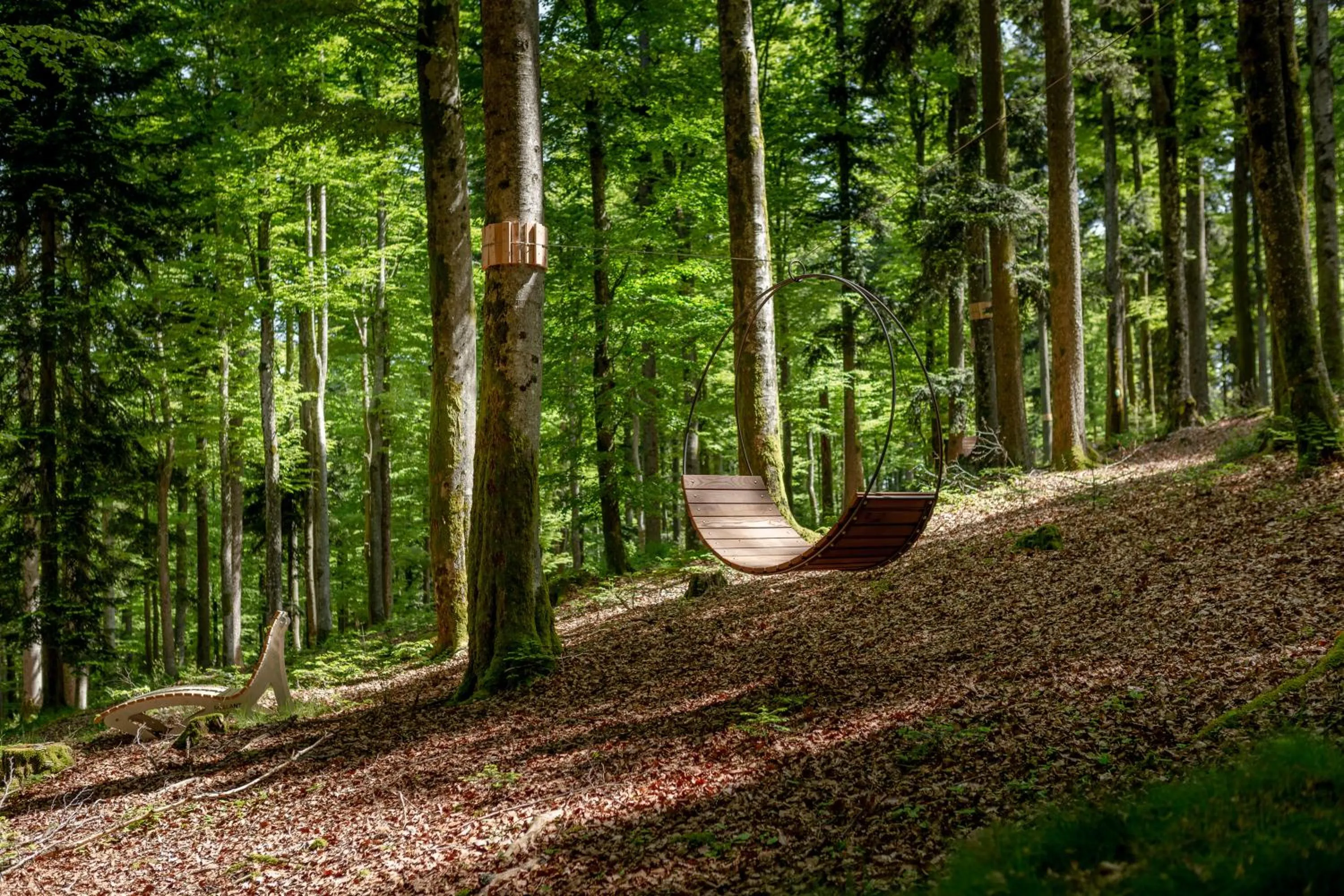 Spa and wellness centre/facilities in Wellness & Naturresort Reischlhof