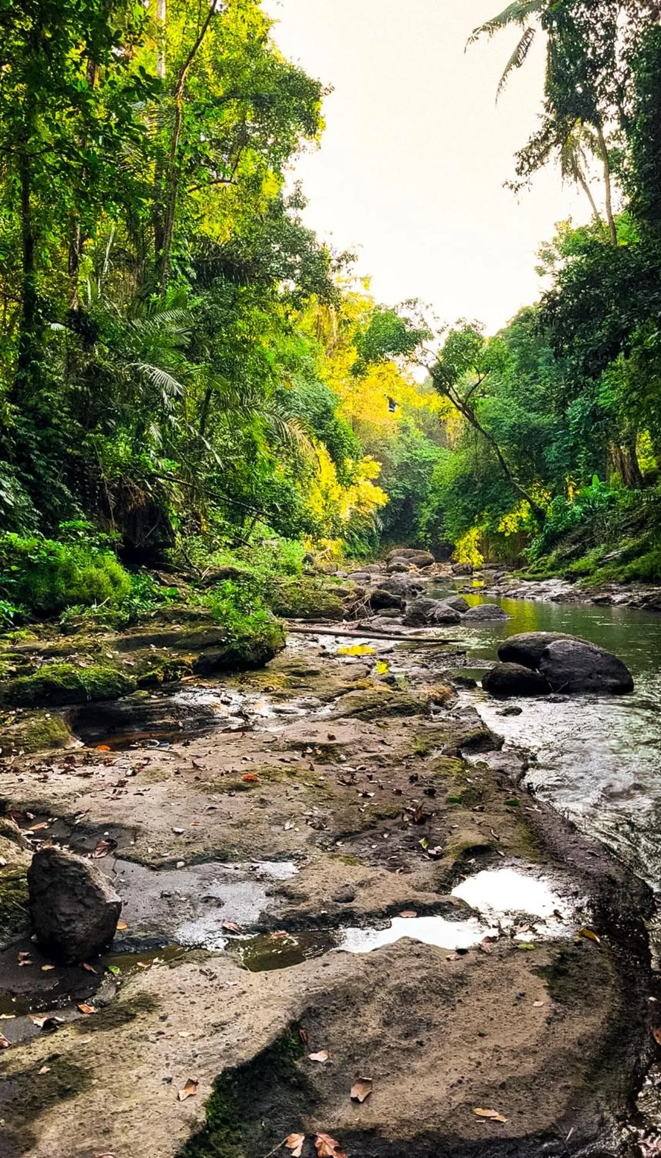 Nearby landmark in Nunu Bali Eco Friendly Retreat