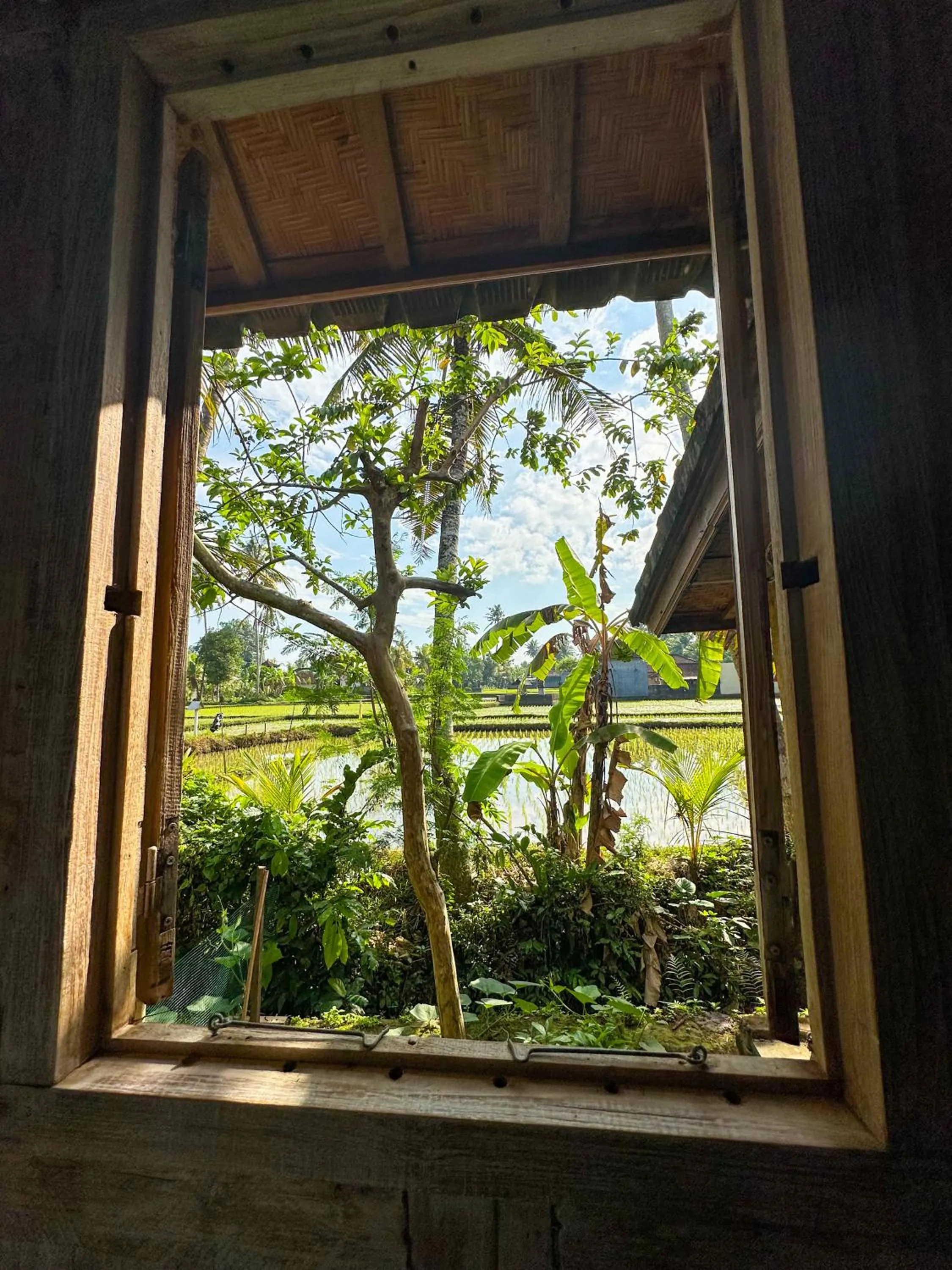 View (from property/room) in Nunu Bali Eco Friendly Retreat
