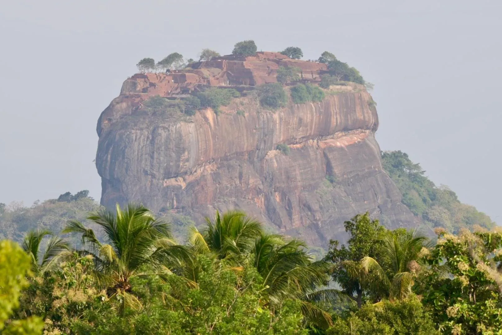 The Cottage Sigiriya