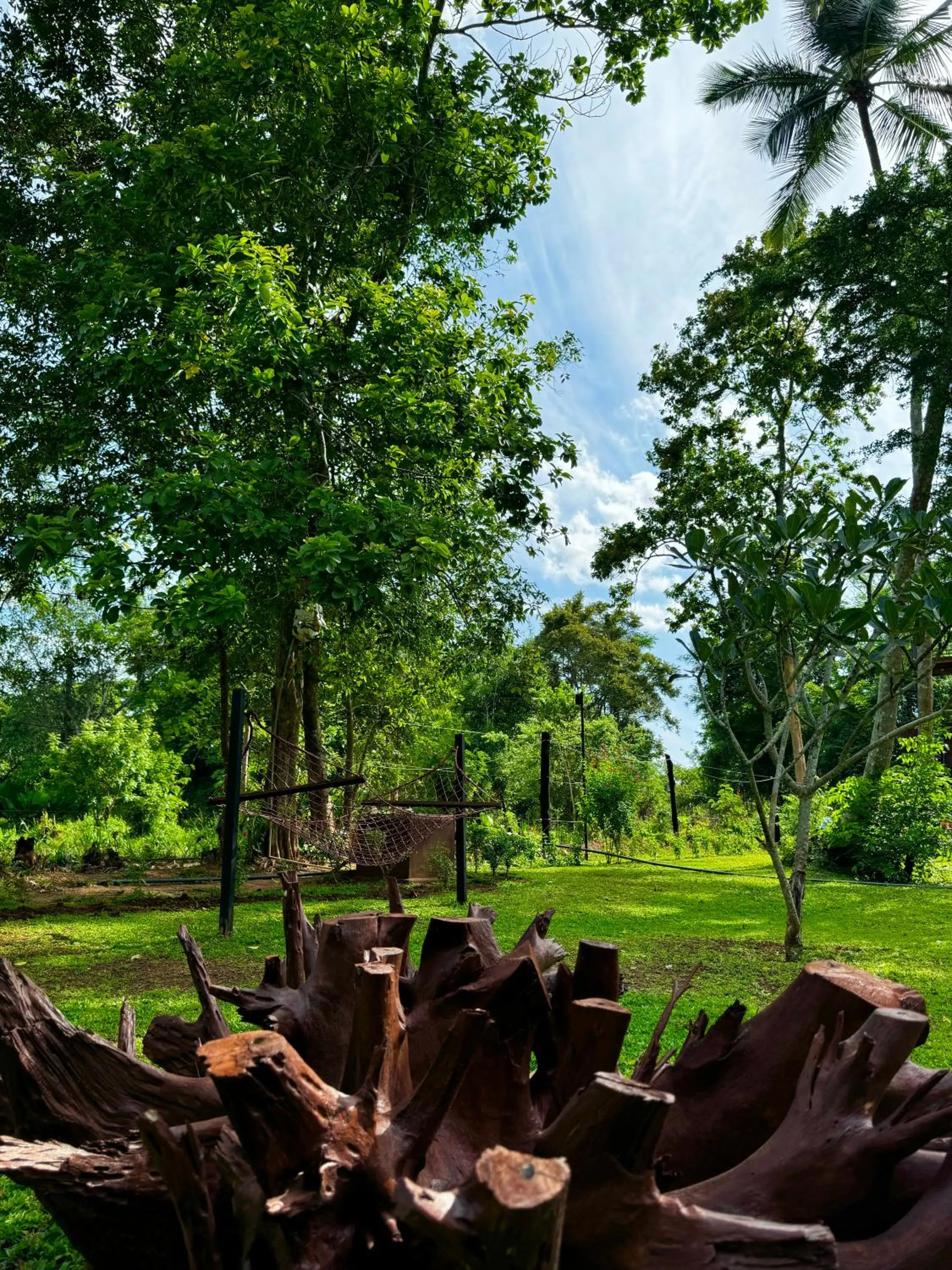 Garden in The Cottage Sigiriya