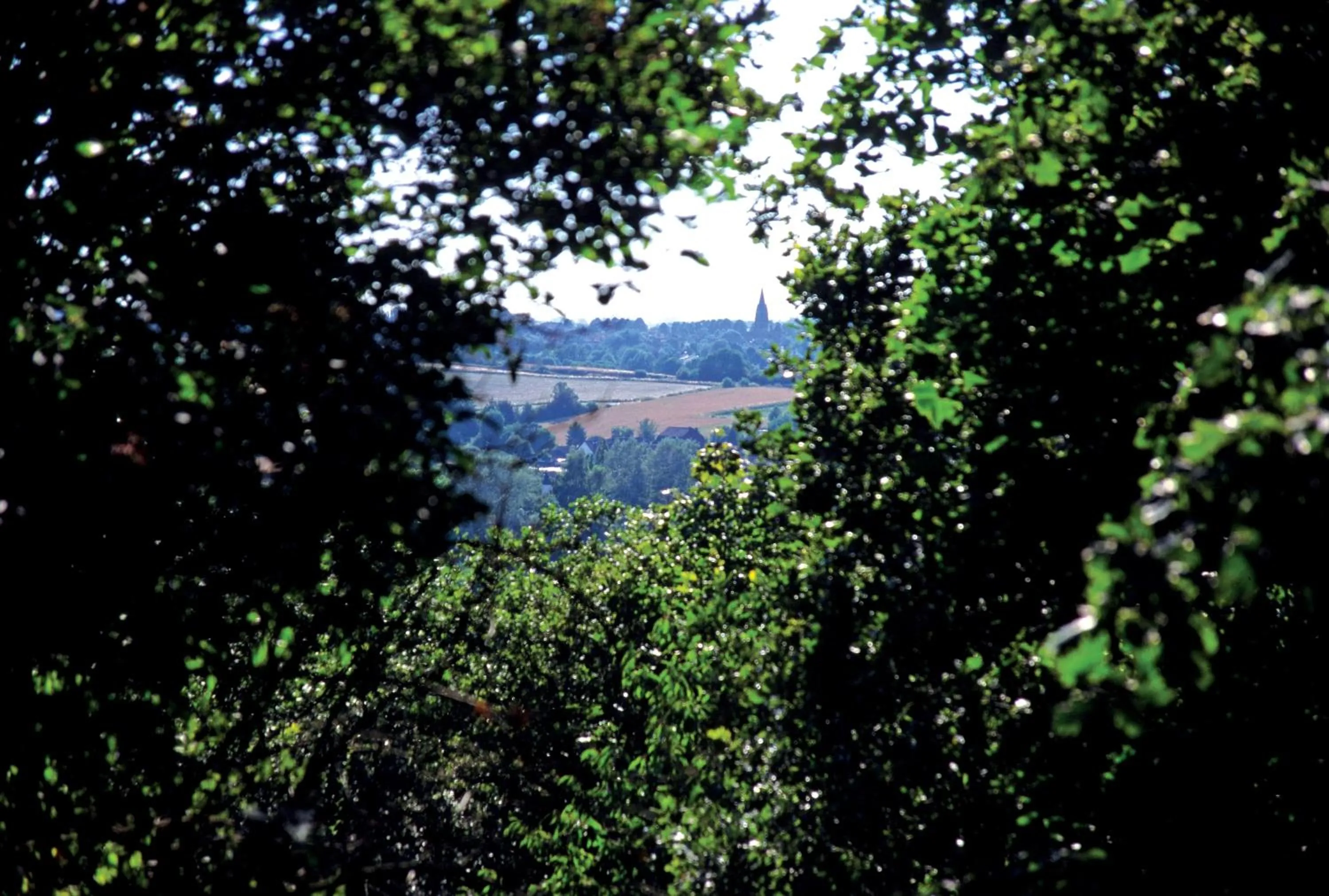 Area and facilities in Fletcher Hotel Restaurant Rooland