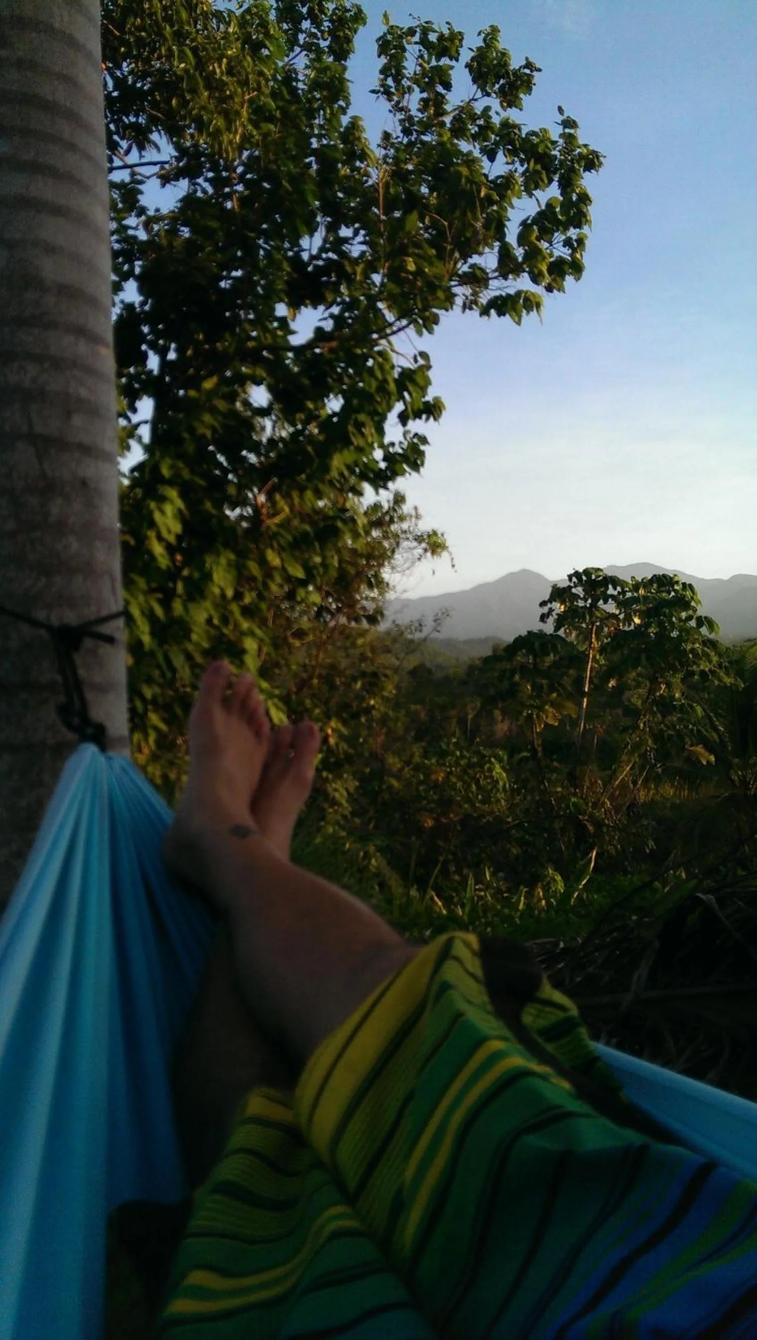 Facade/entrance in Germaican Hostel