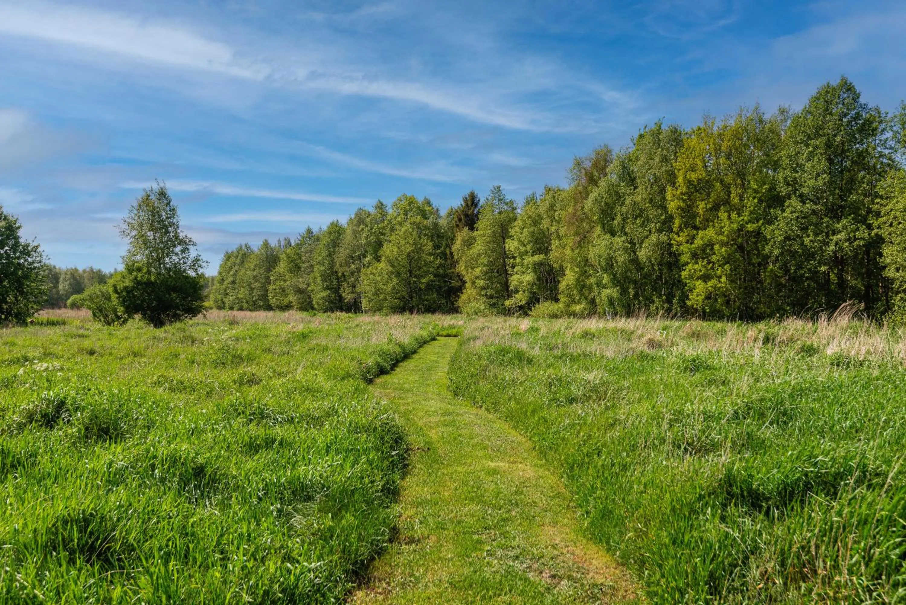 Natural landscape in KUTI apartamentai