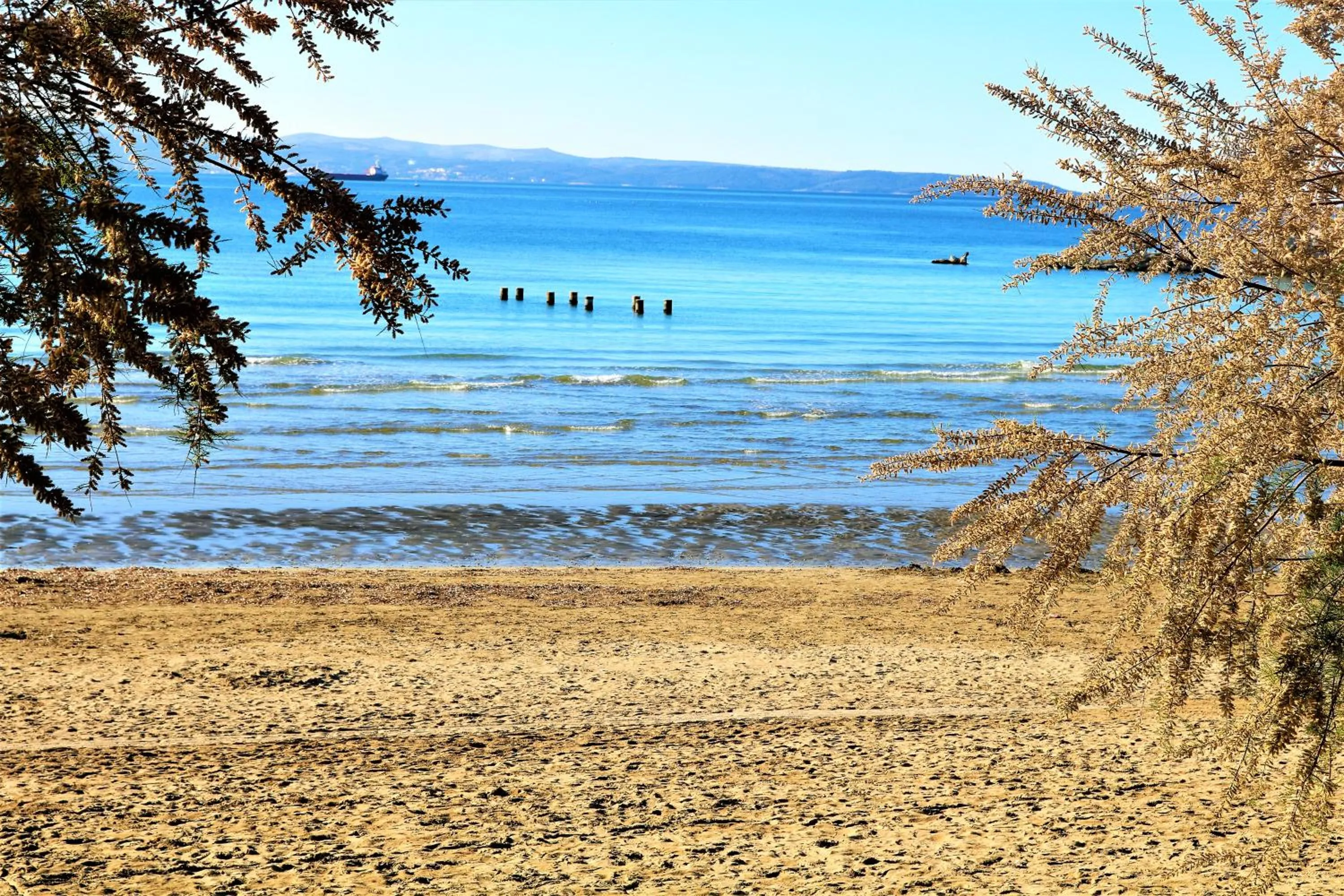 Beach in Apartment Pera