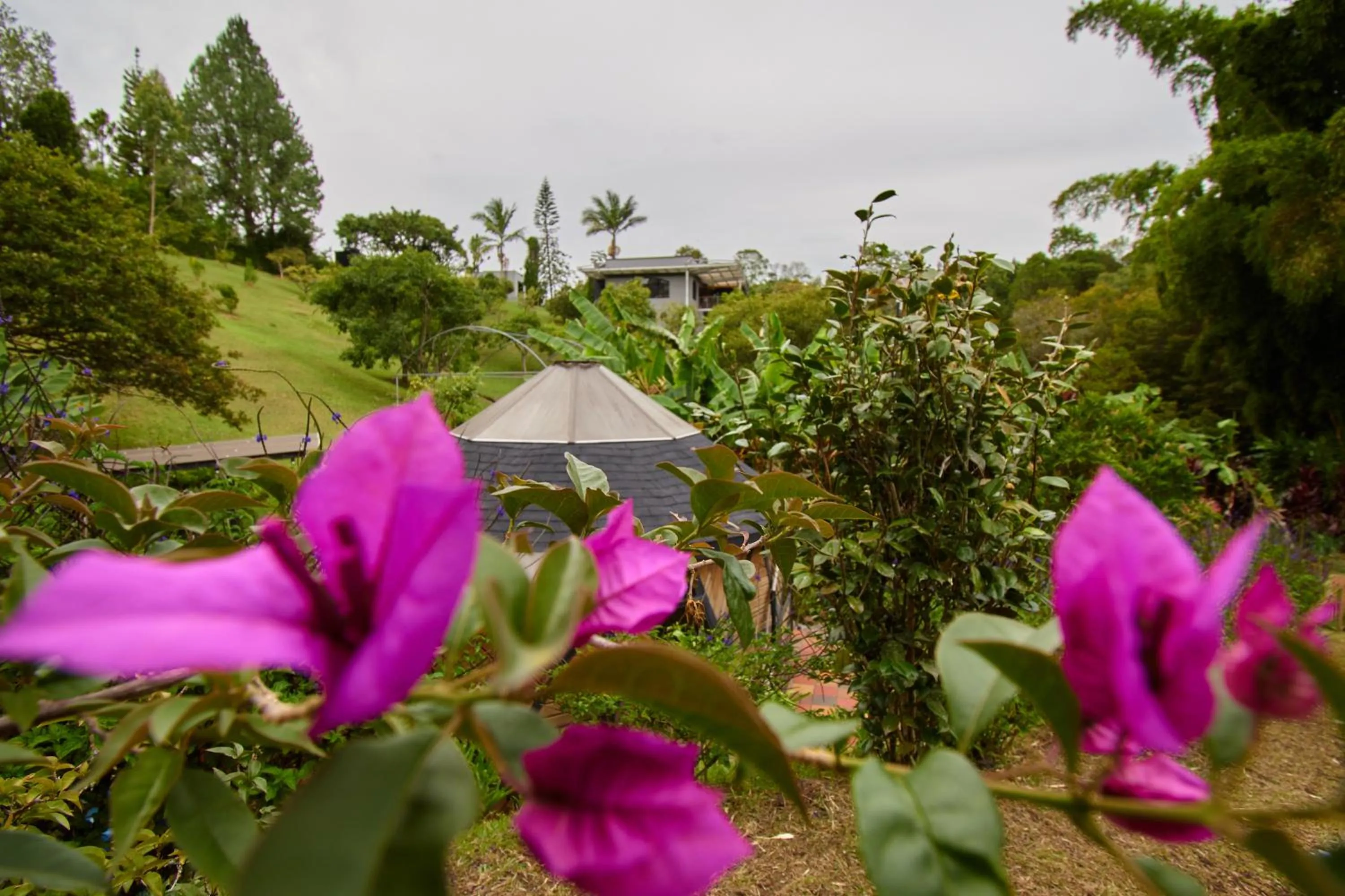 Garden in Kokumi by Bernalo Hotels