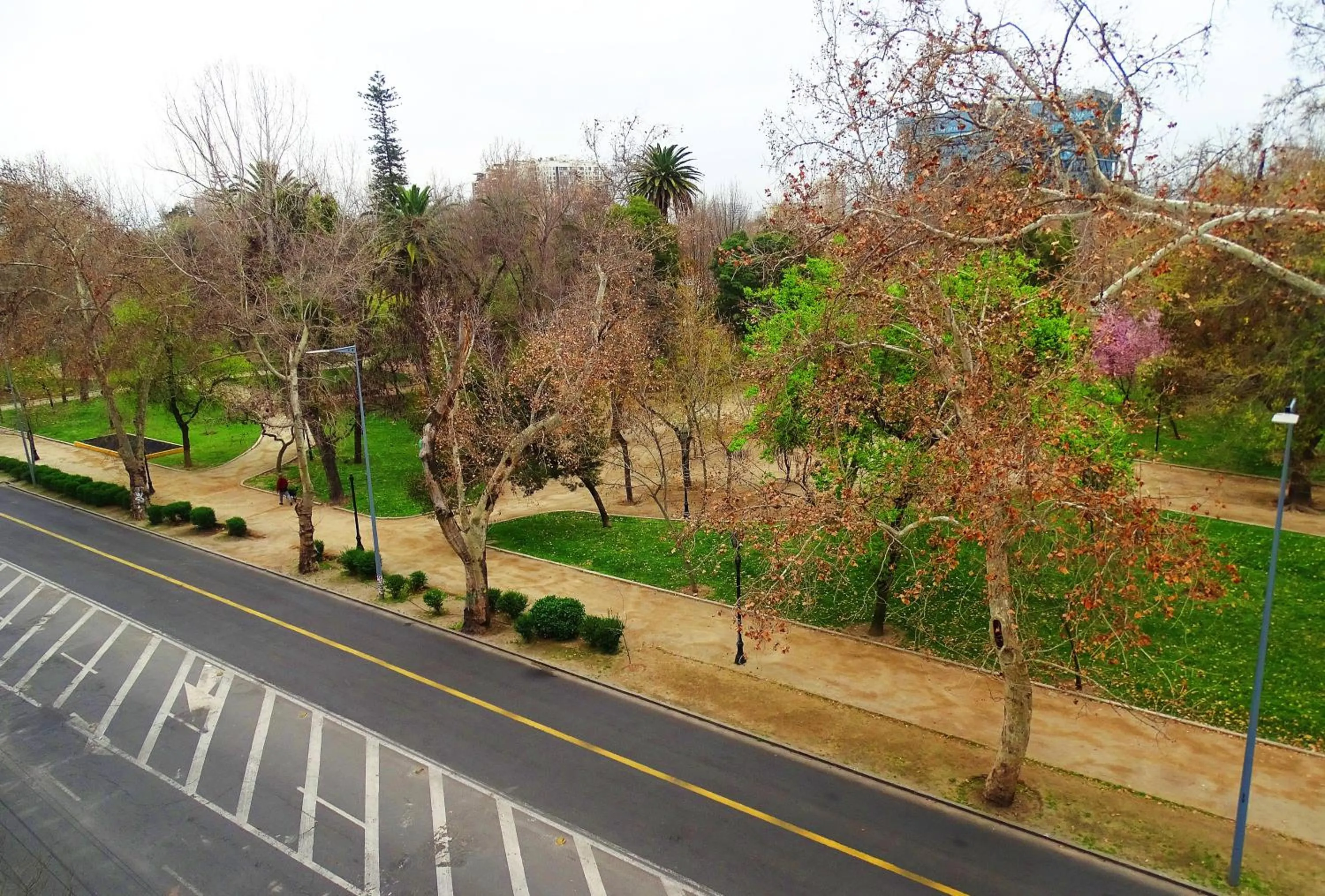 Garden view in BHB Hotel Boutique