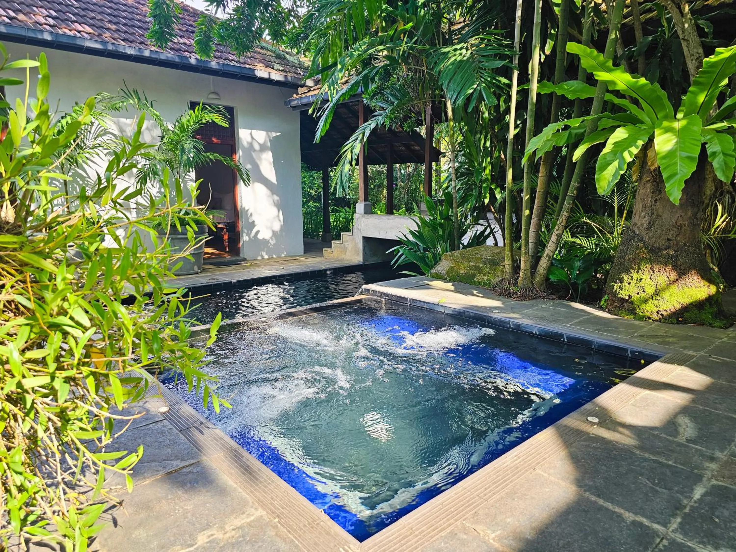 Swimming pool in Havelock Bungalow - Live Fire Cooking - Enjoy 10 percent off at GINI Outdoor Kitchen