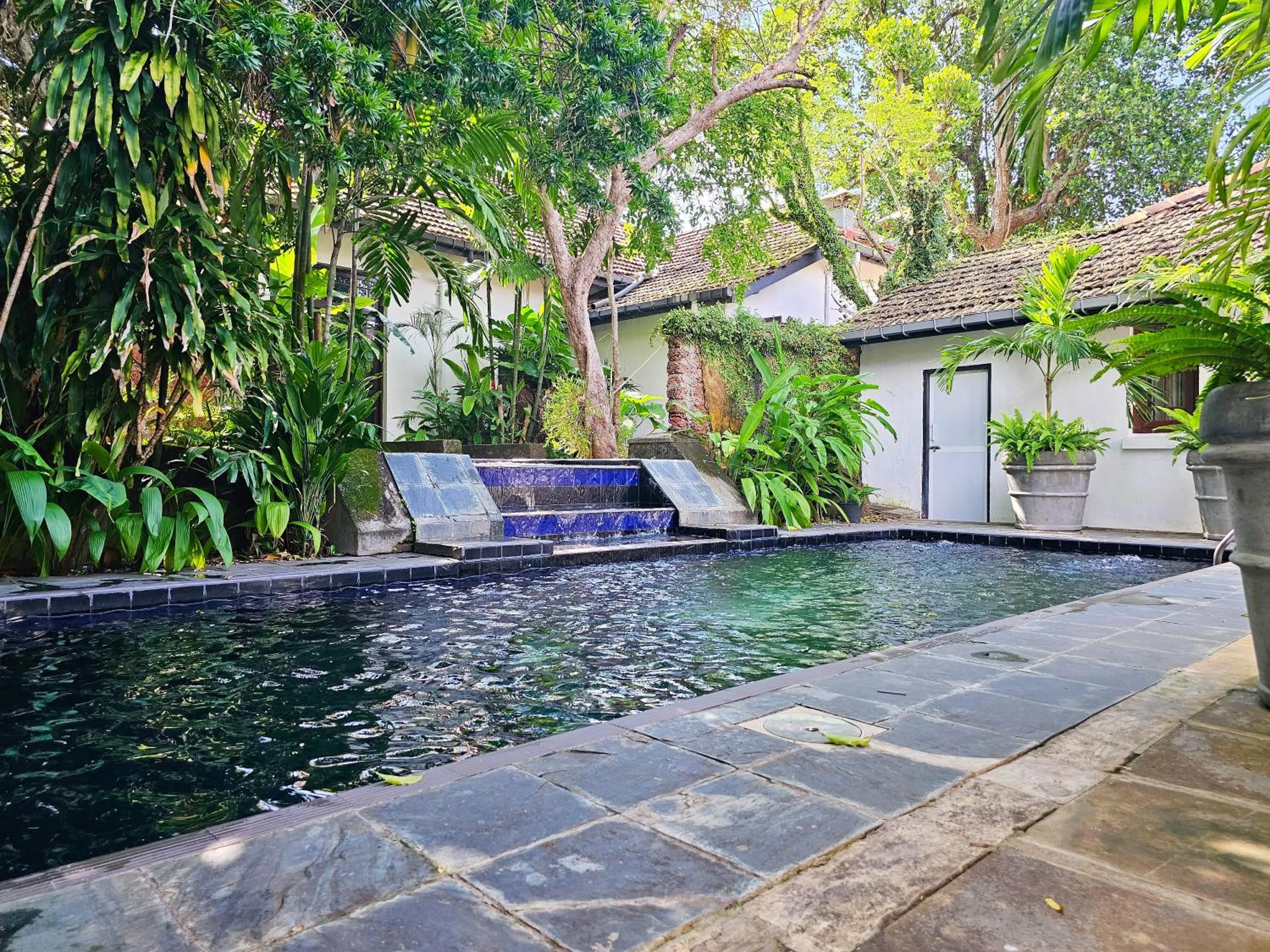Swimming pool in Havelock Bungalow - Live Fire Cooking - Enjoy 10 percent off at GINI Outdoor Kitchen