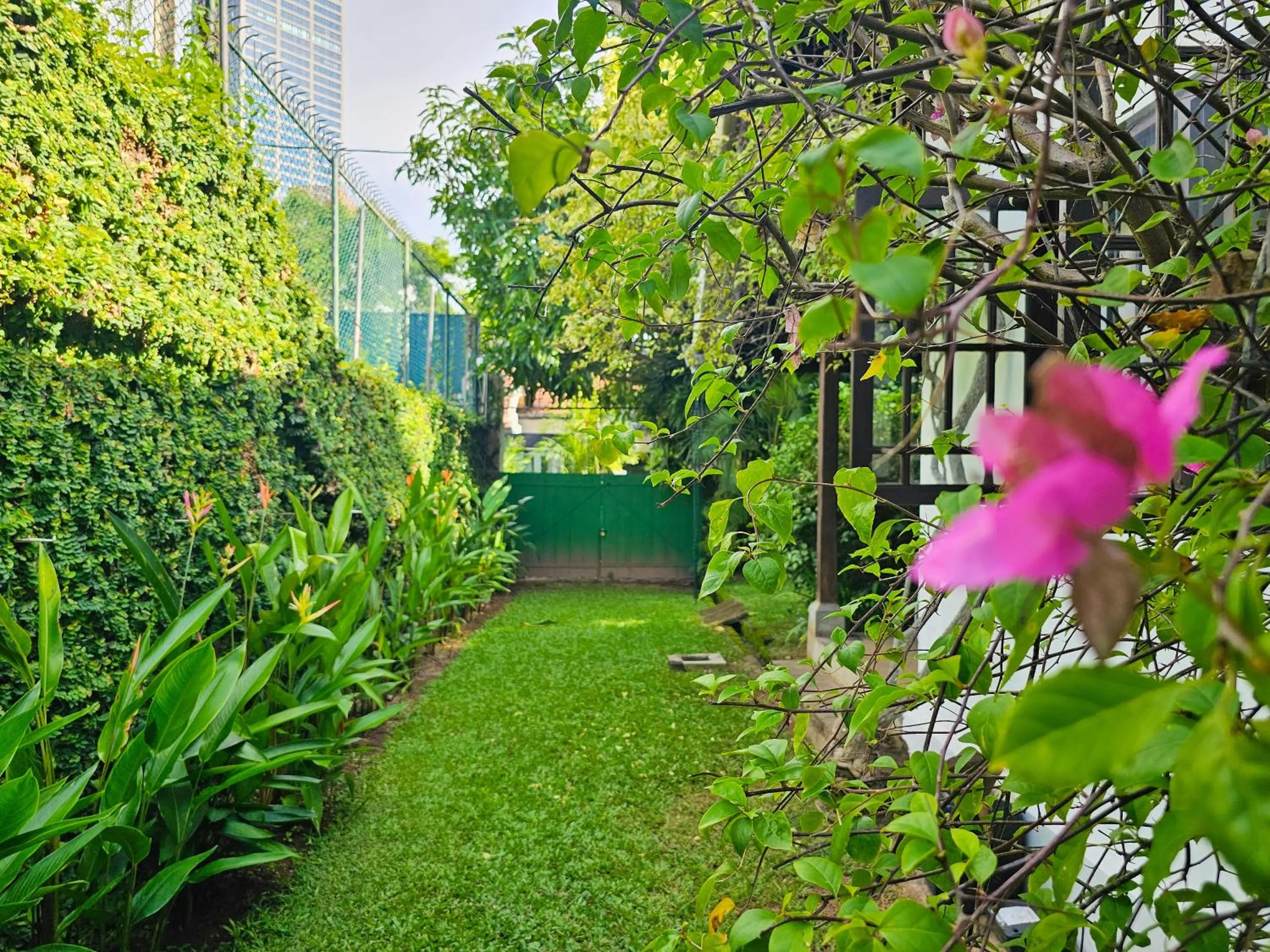 Garden view in Havelock Bungalow - Live Fire Cooking - Enjoy 10 percent off at GINI Outdoor Kitchen