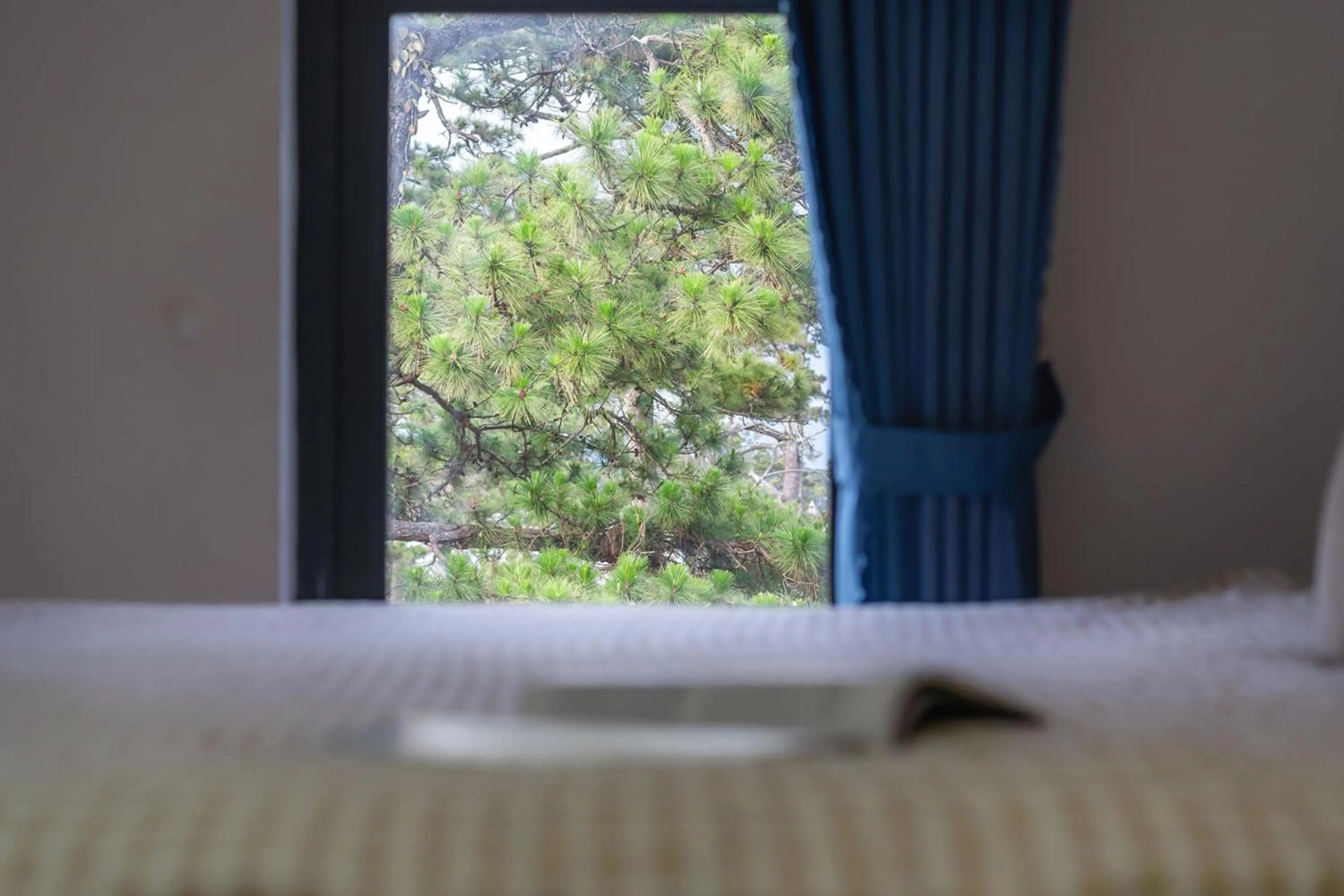 Photo of the whole room, Bed in Trường An Hotel