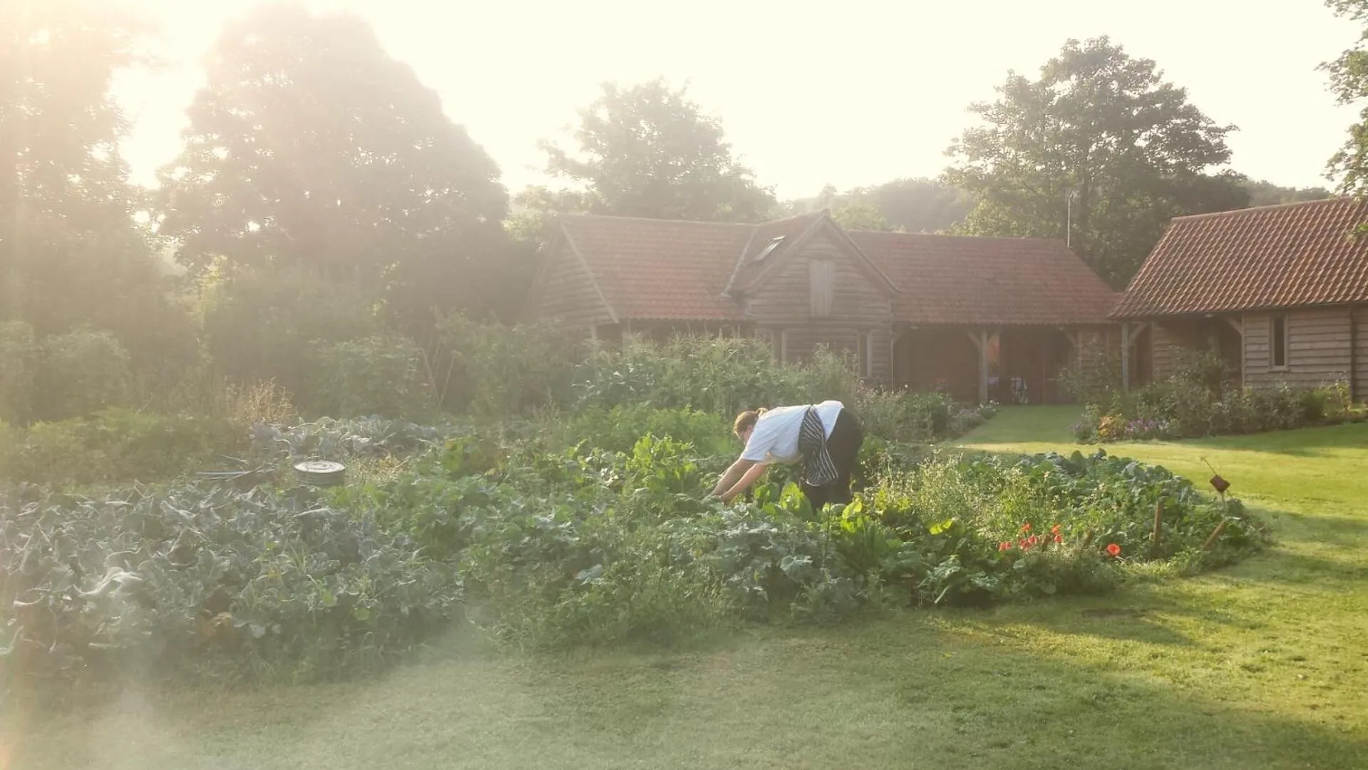Property building in The Grove Cromer