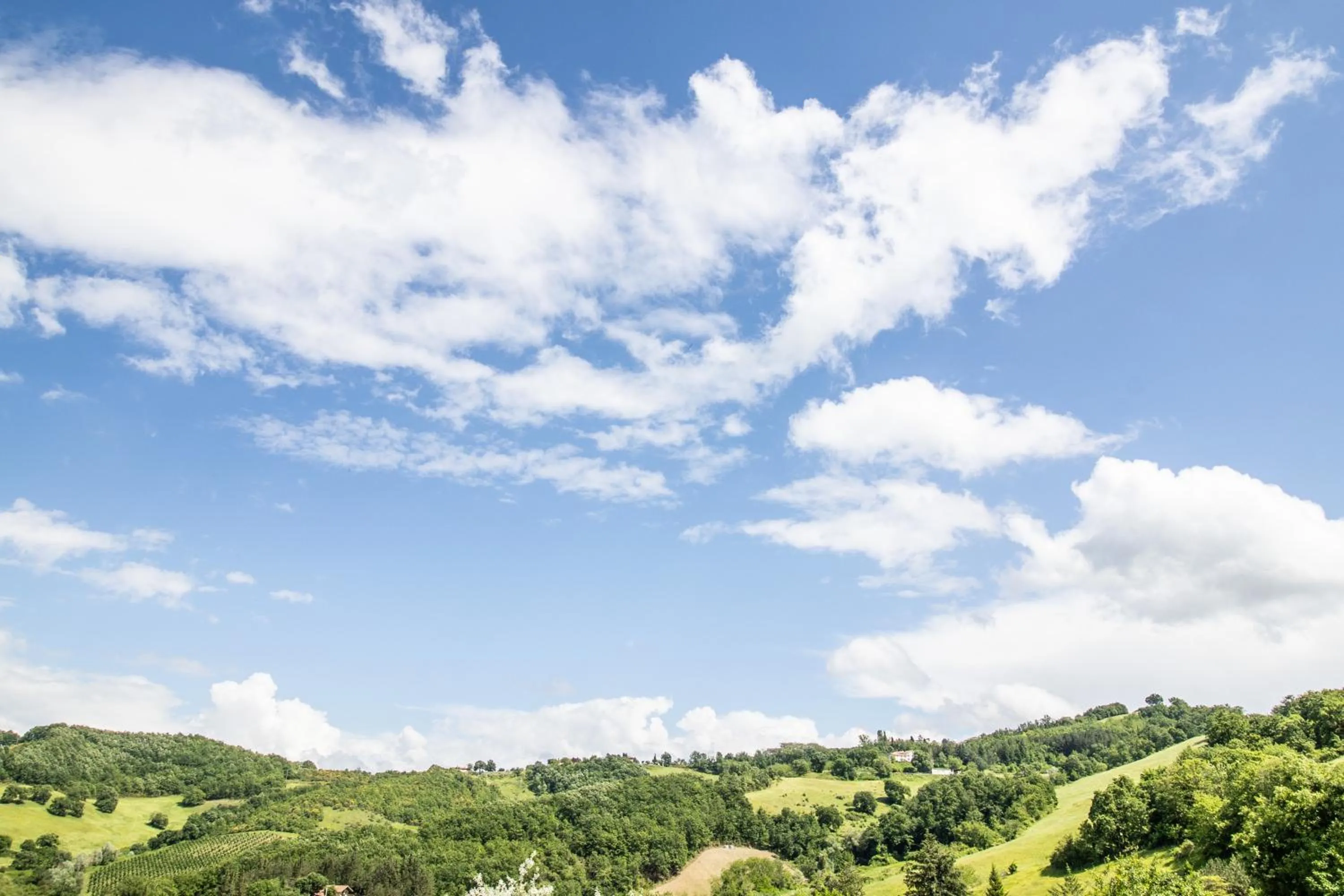 Tenuta Borgo San Michele