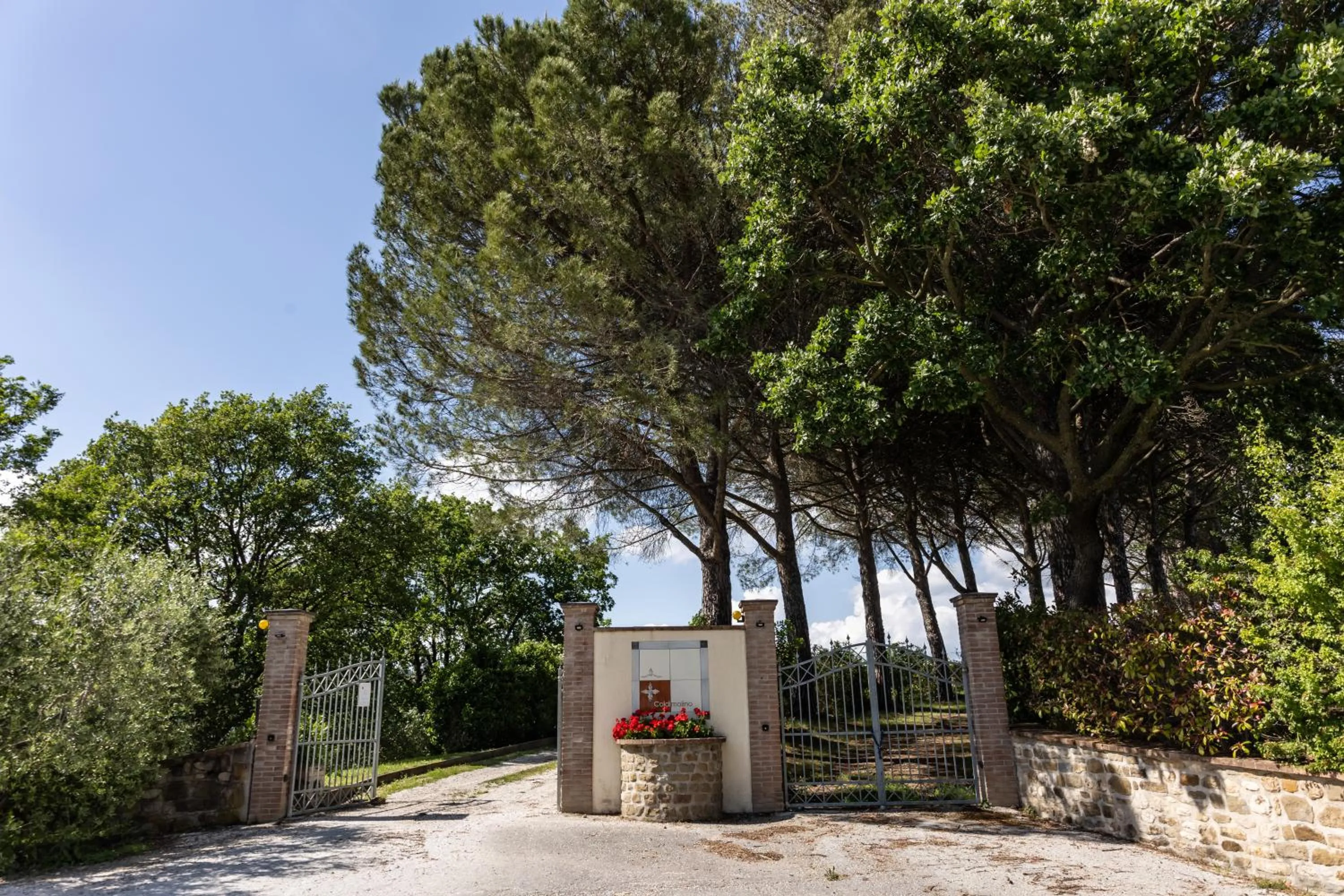 Tenuta Borgo San Michele