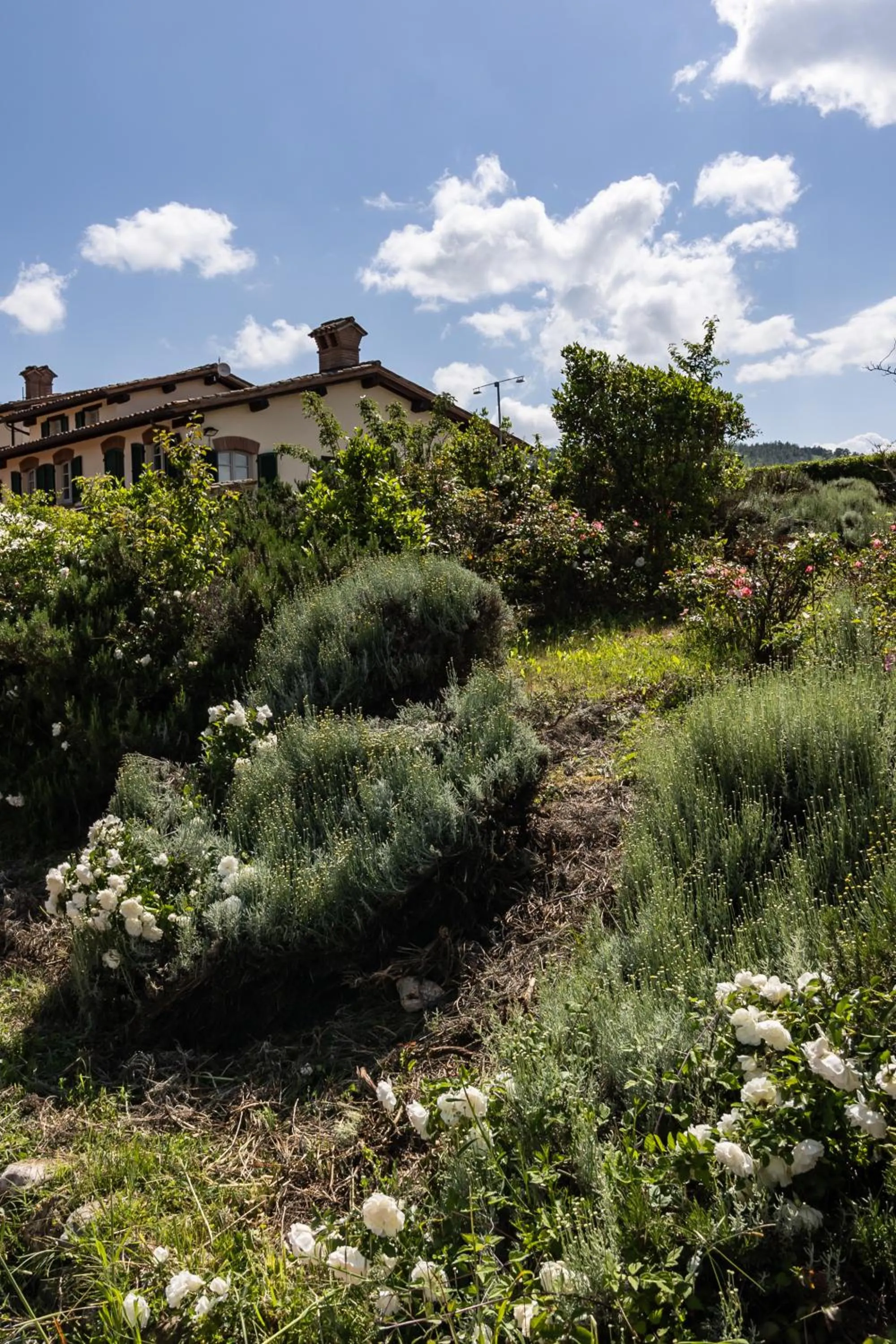 Tenuta Borgo San Michele