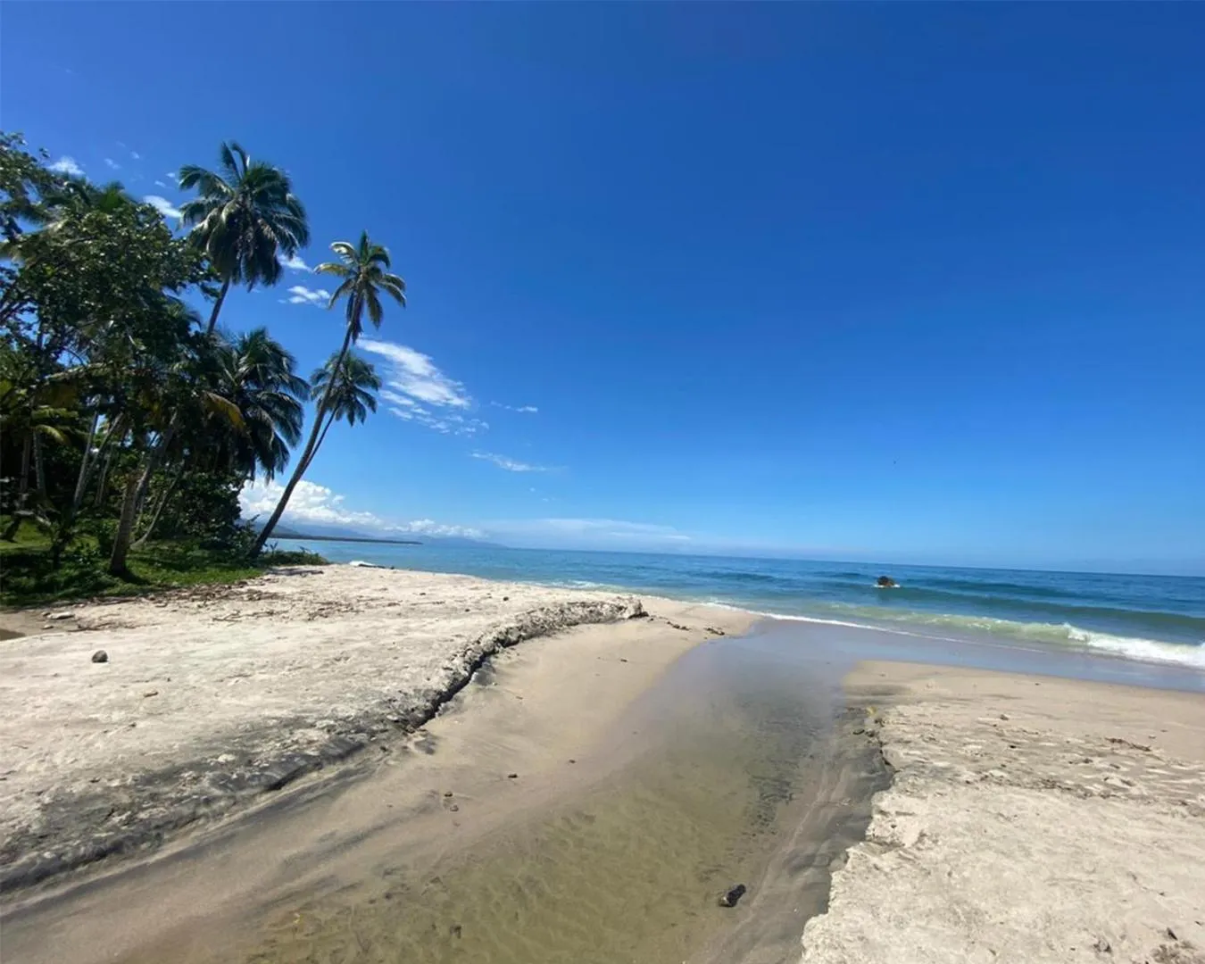 Natural landscape in La Jorará EcoHotel y Reserva Natural