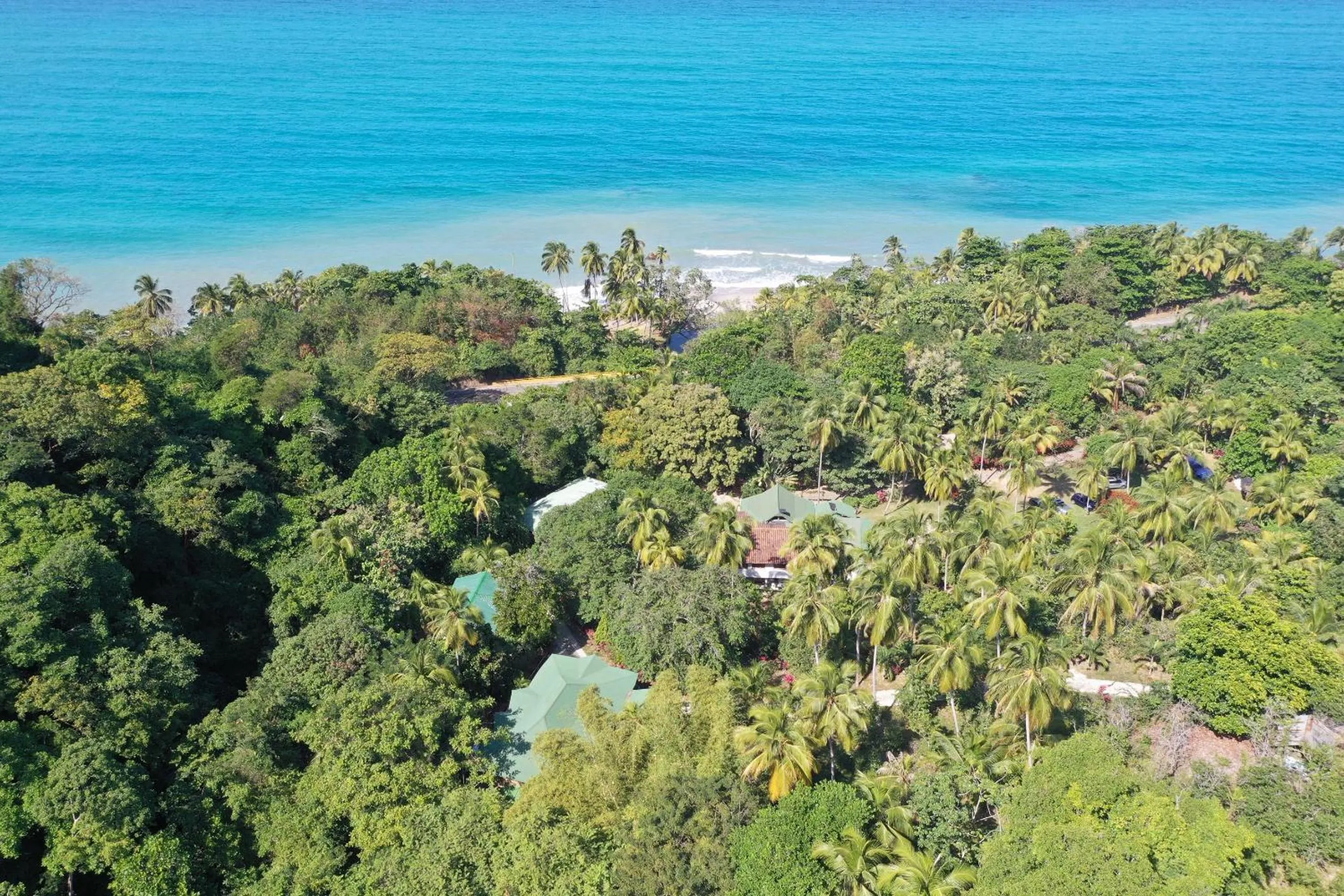 Bird's eye view in La Jorará EcoHotel y Reserva Natural