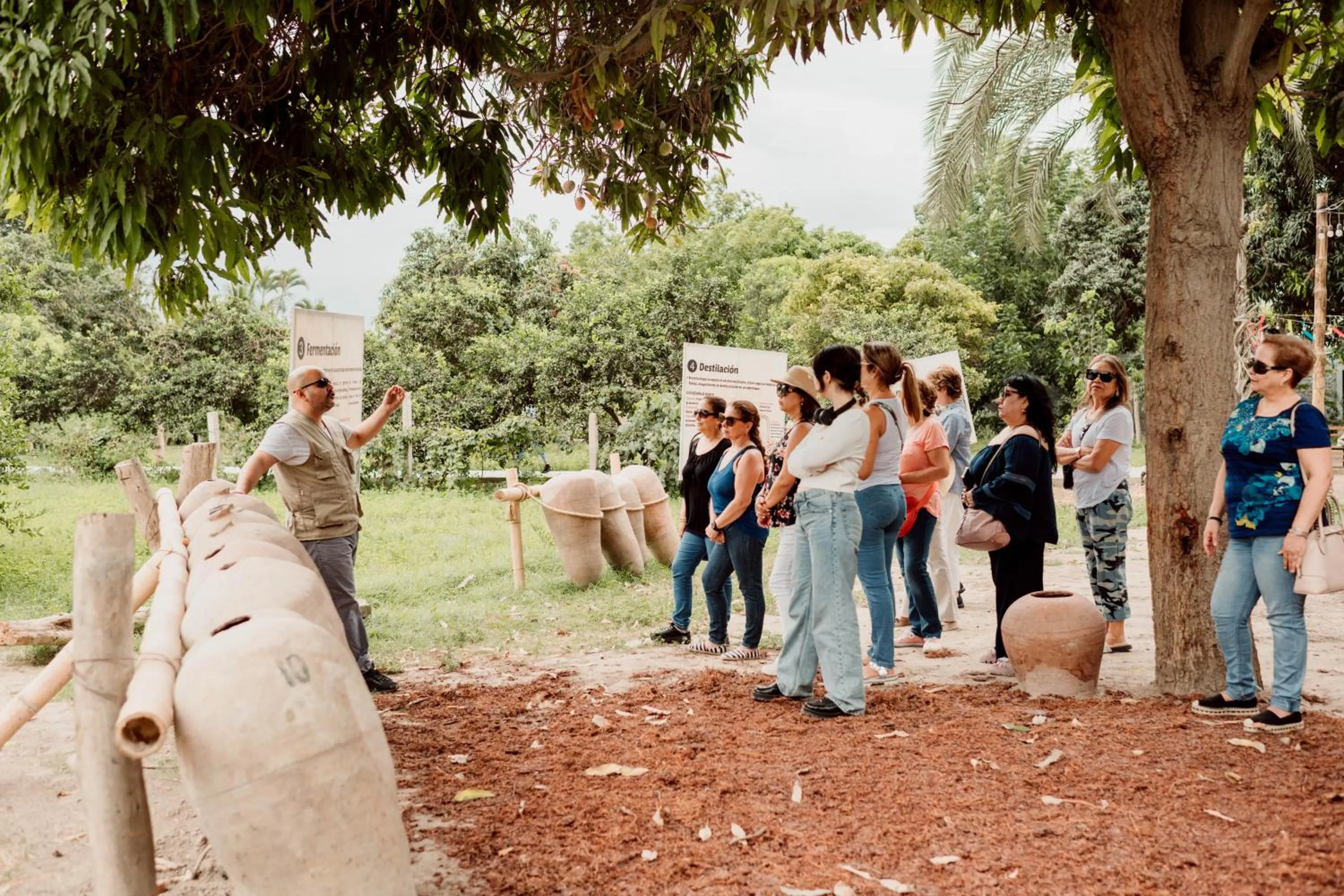 Activities in Hotel Fundo El Arrabal