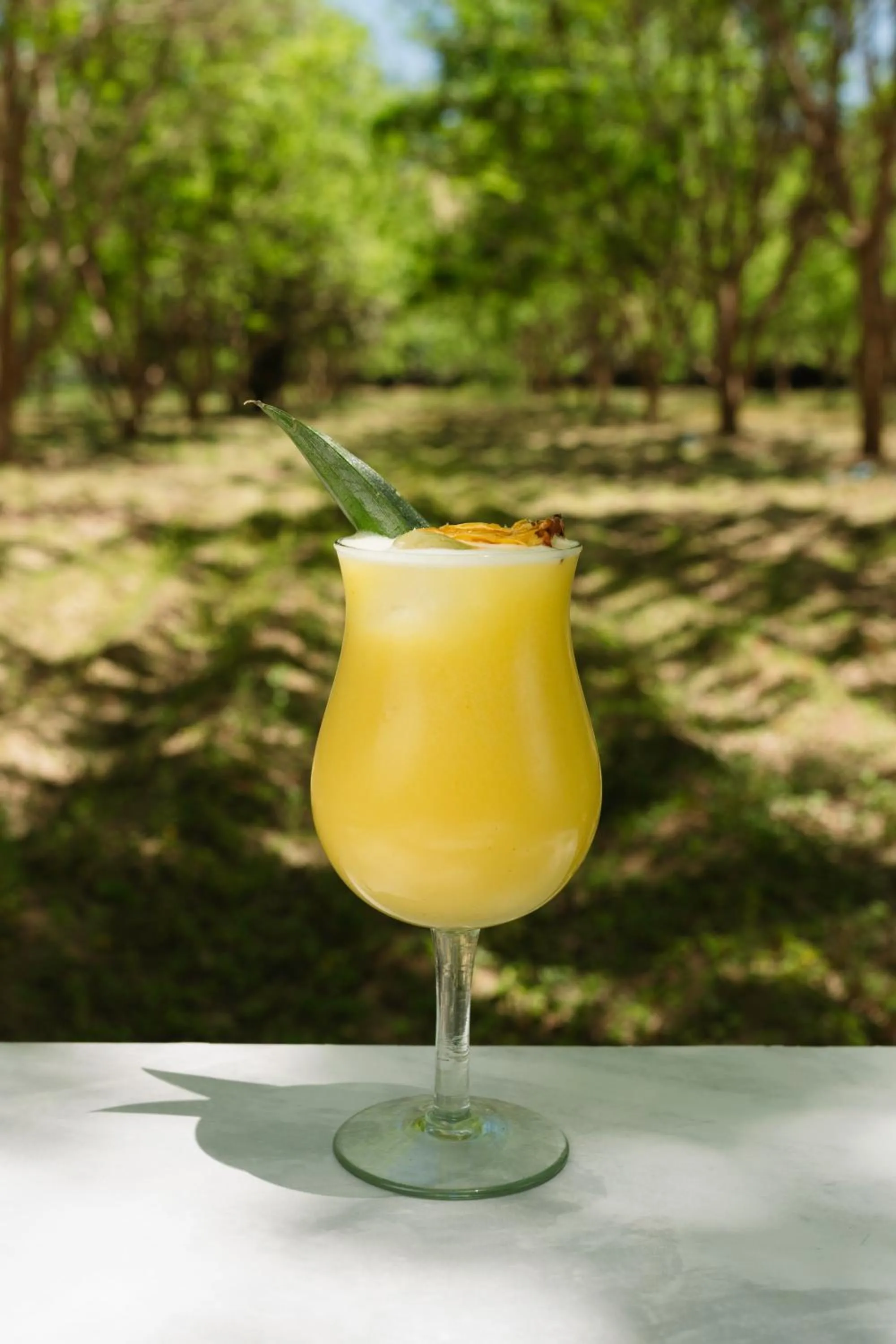 Drinks in Hotel Fundo El Arrabal