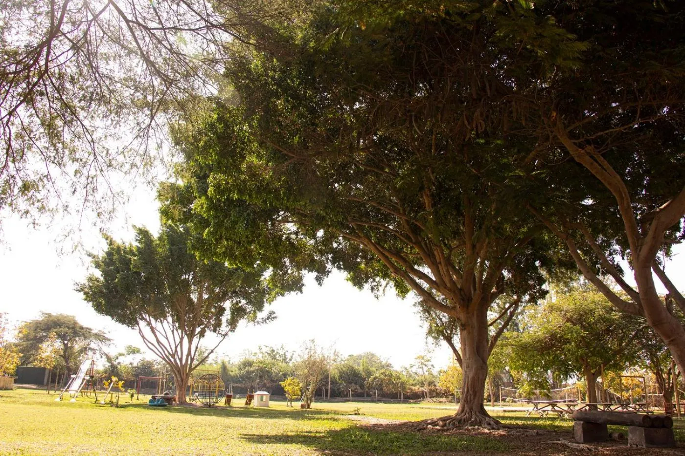 Natural landscape in Hotel Fundo El Arrabal