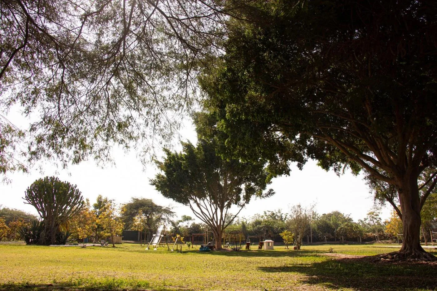 Natural landscape in Hotel Fundo El Arrabal