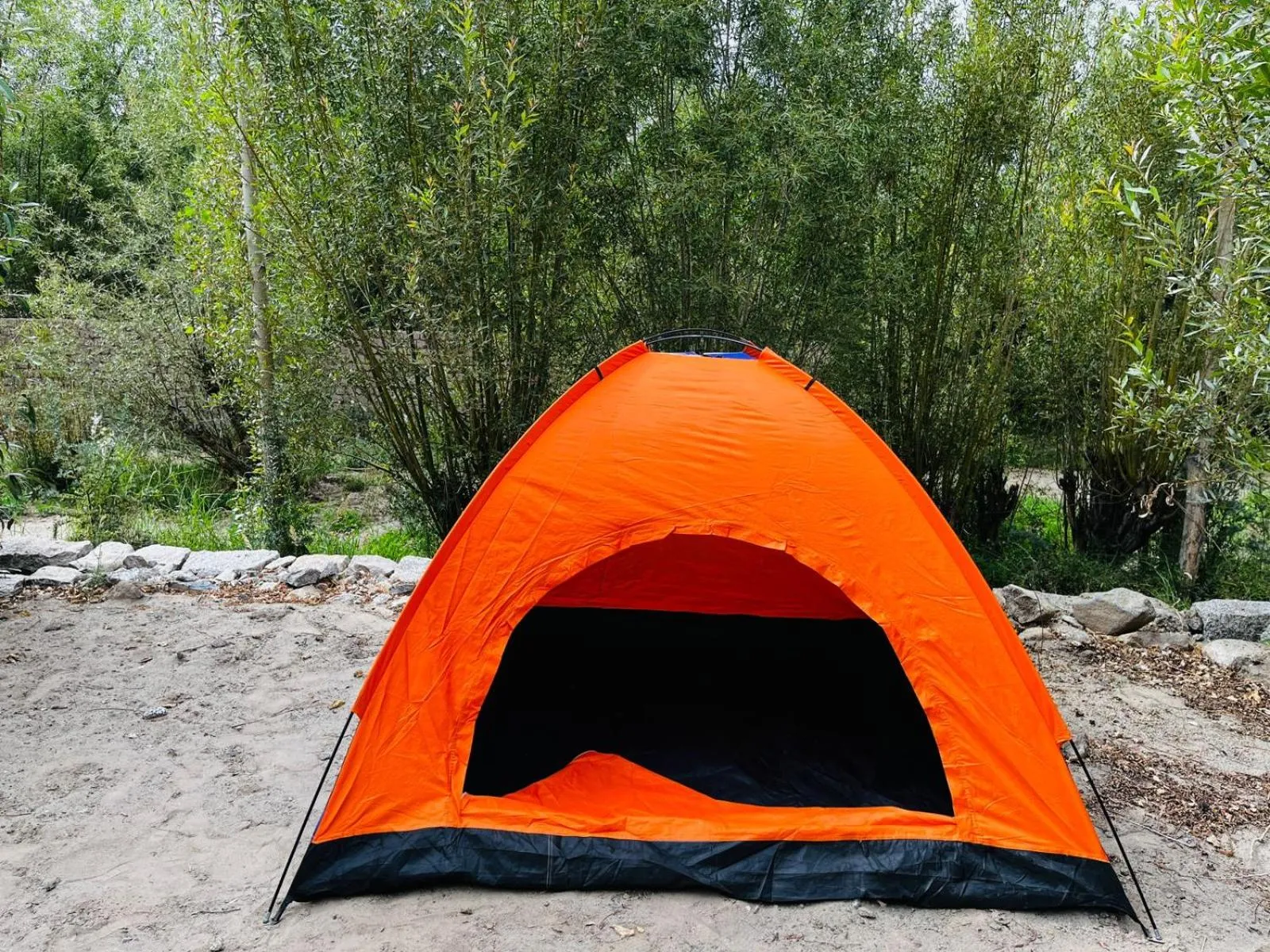 Thiksay Organic Resort and Retreat