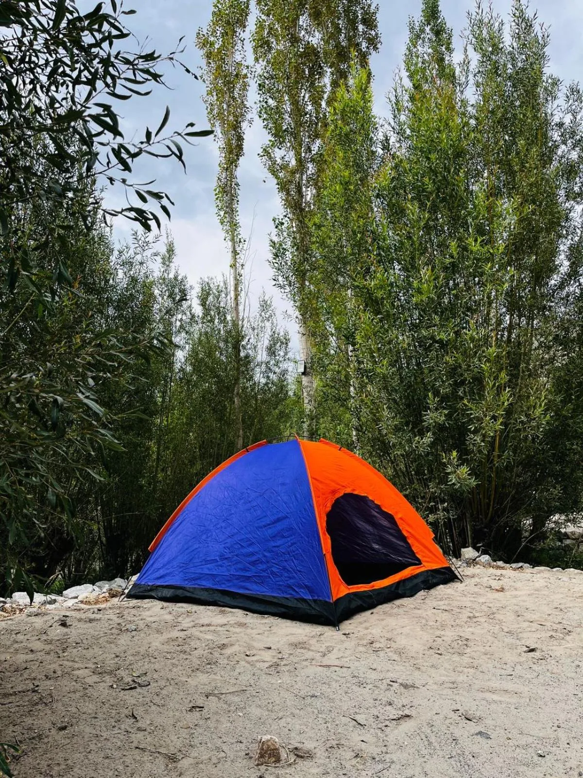 Thiksay Organic Resort and Retreat