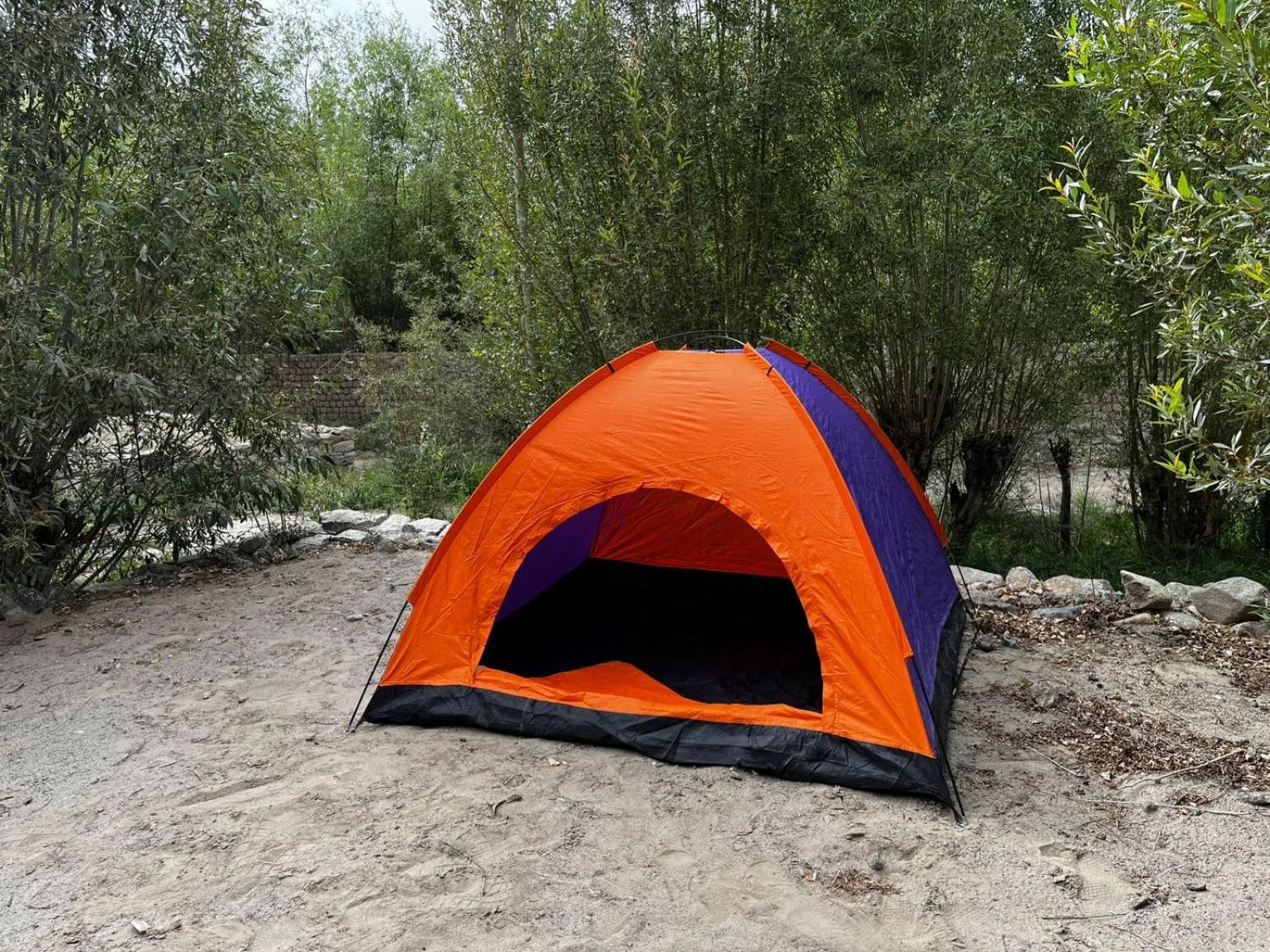 Thiksay Organic Resort and Retreat