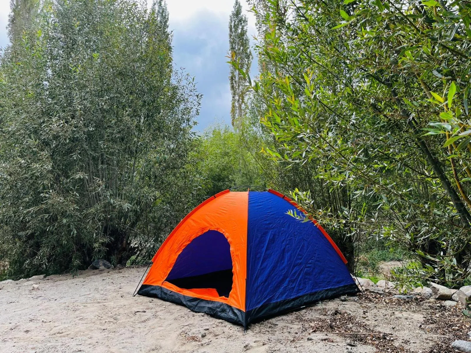 Thiksay Organic Resort and Retreat