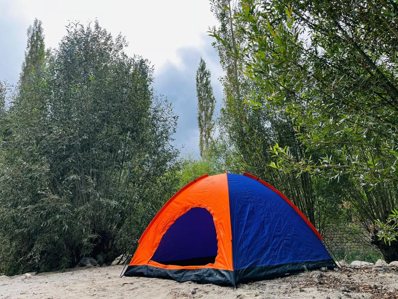 Thiksay Organic Resort and Retreat