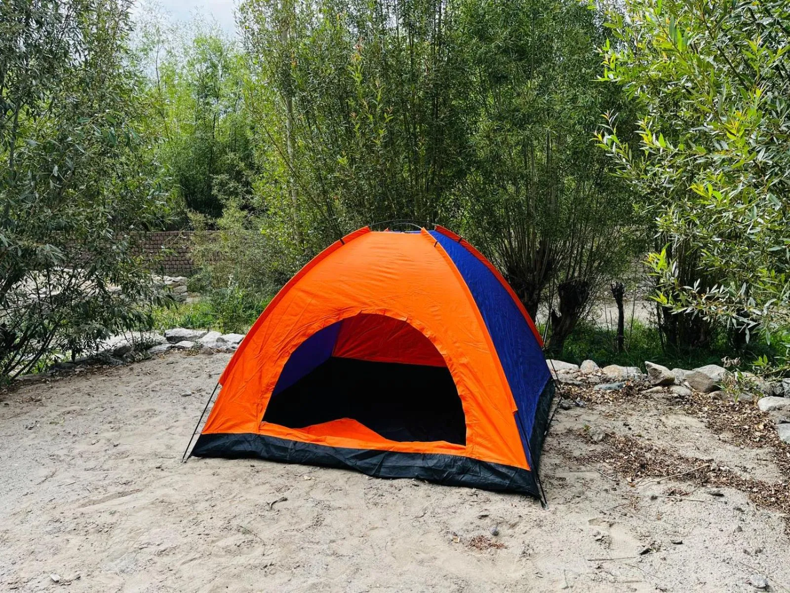 Restaurant/places to eat in Thiksay Organic Resort and Retreat