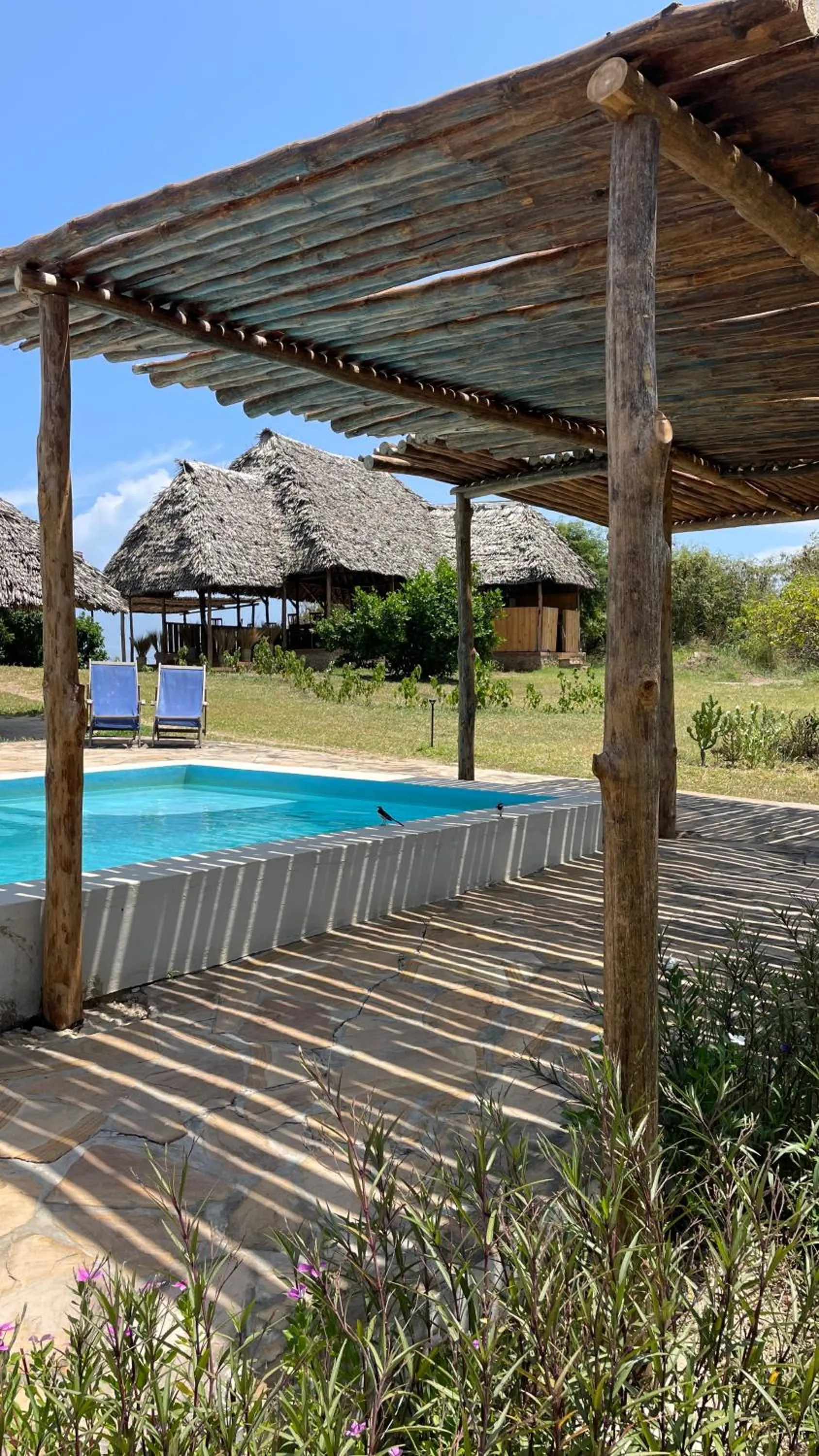 Swimming pool in Pangani Cliffs Lodge
