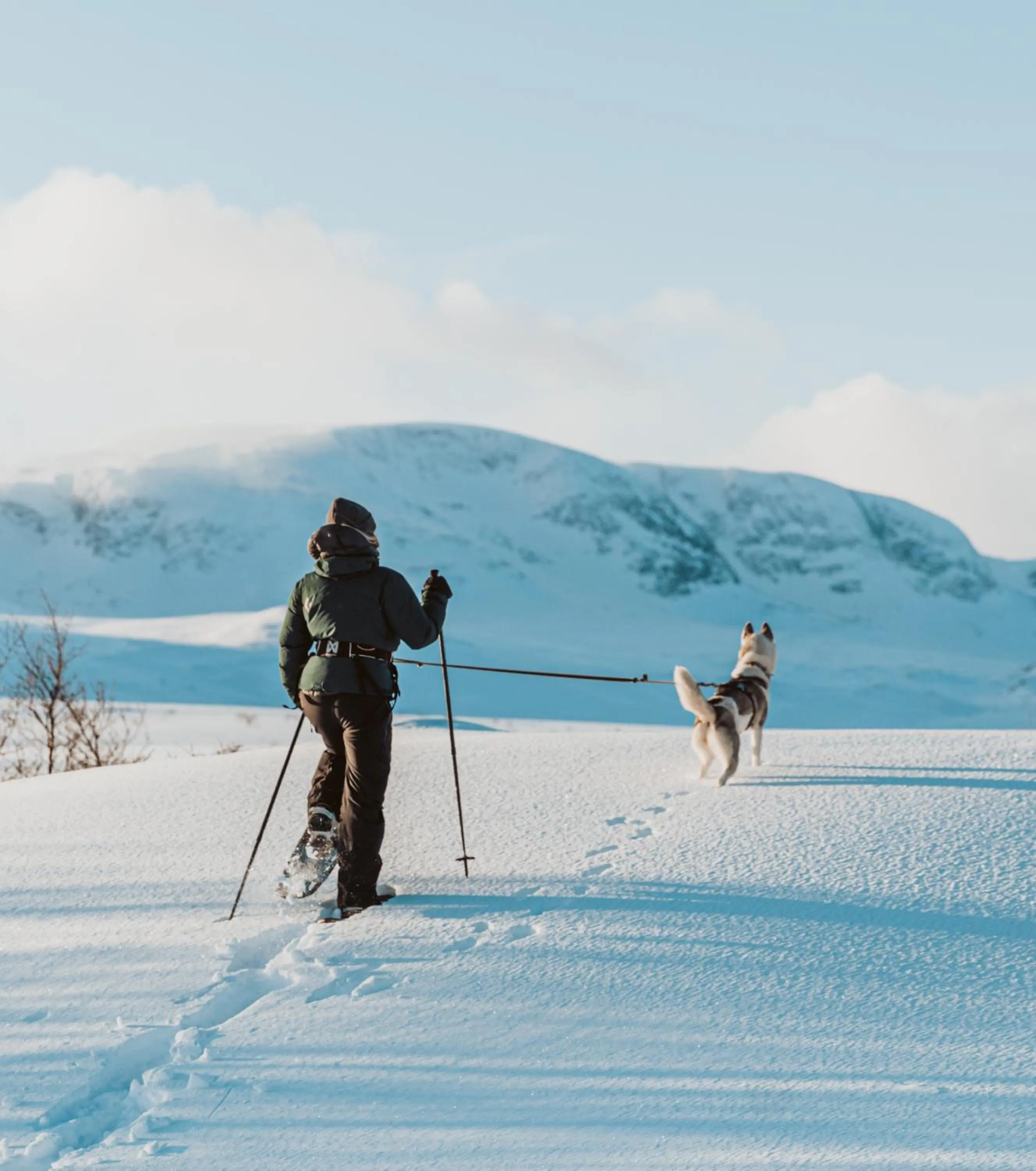 Activities in Highland Lodge Fjellandsby