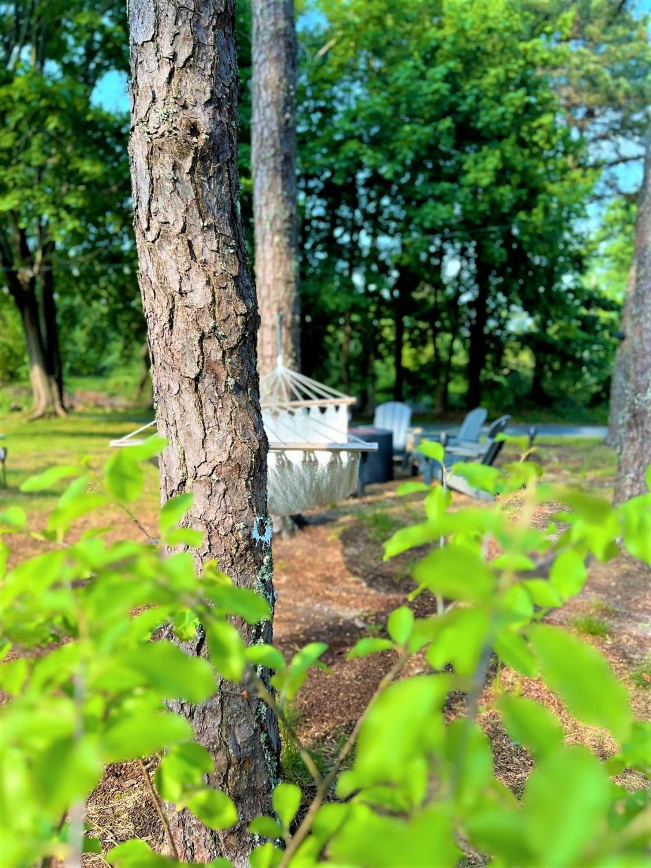 Entertainment in The Seagrove Suites & Guest Rooms