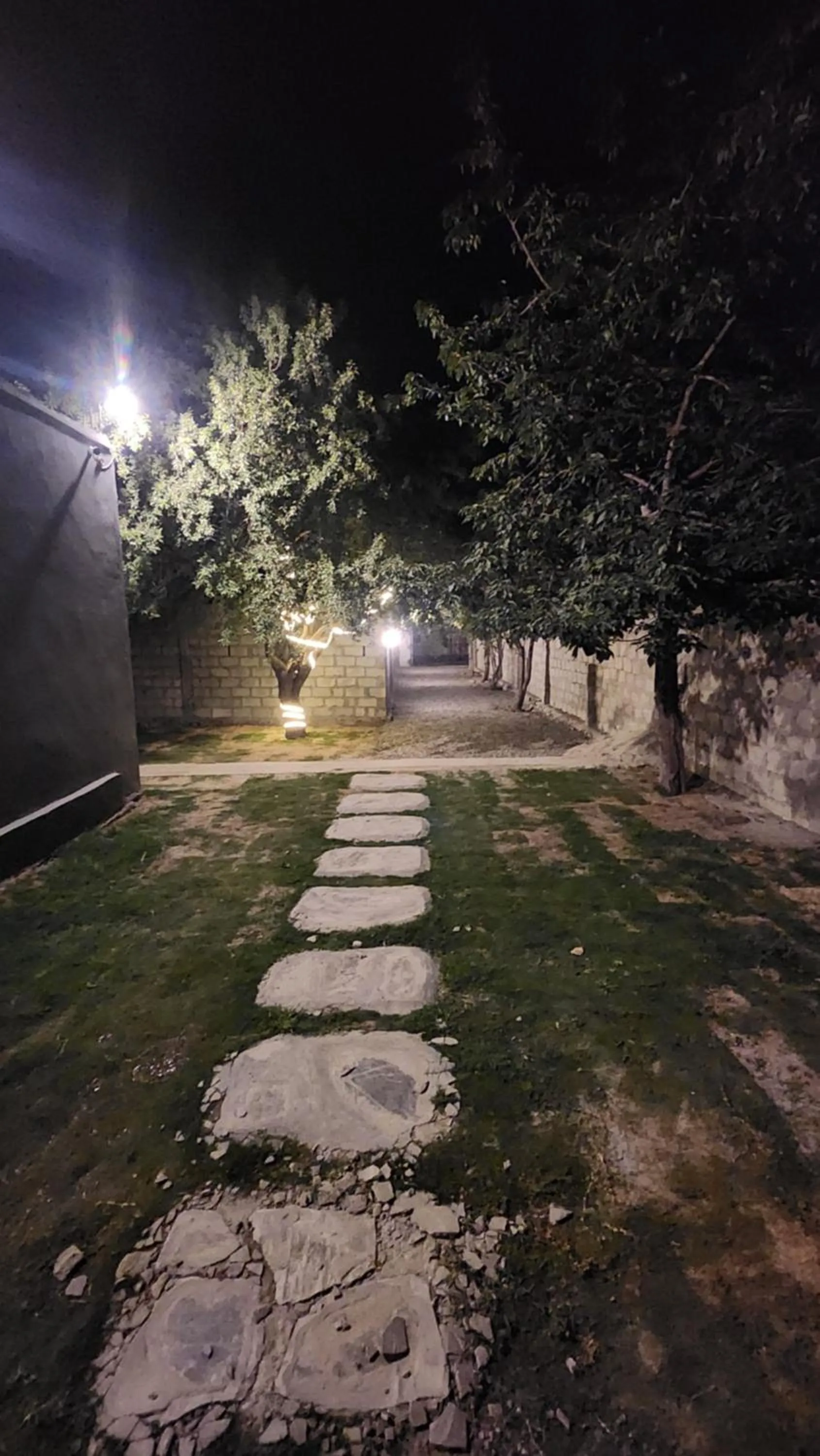 Garden in Green orchard skardu