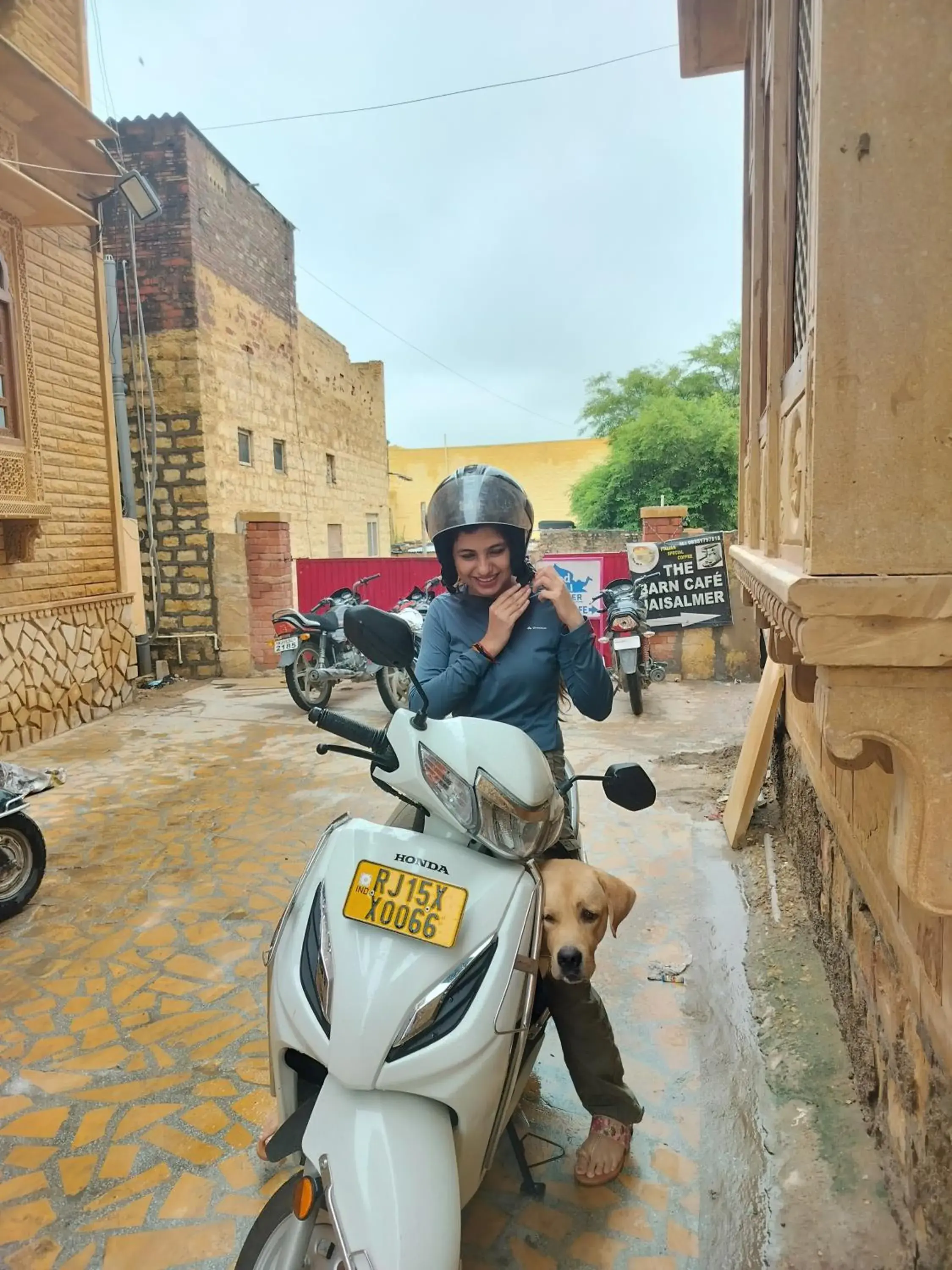 Property building in The Elite Castle Property building in The Elite Castle