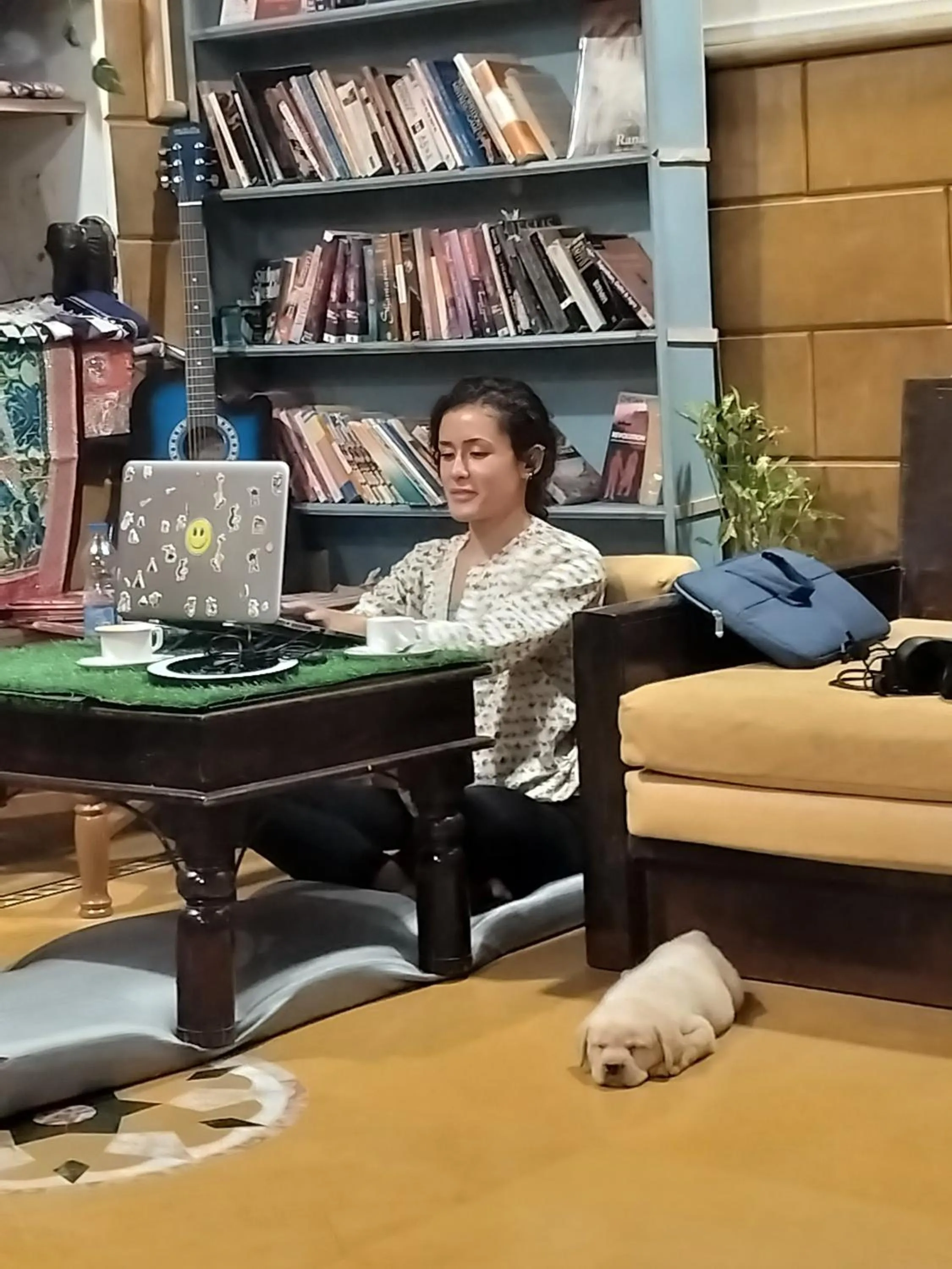 Library in The Elite Castle