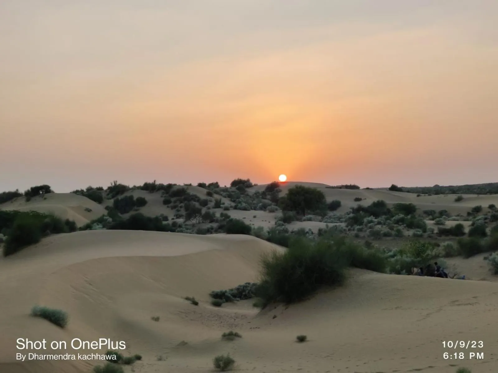 Day in The Elite Castle