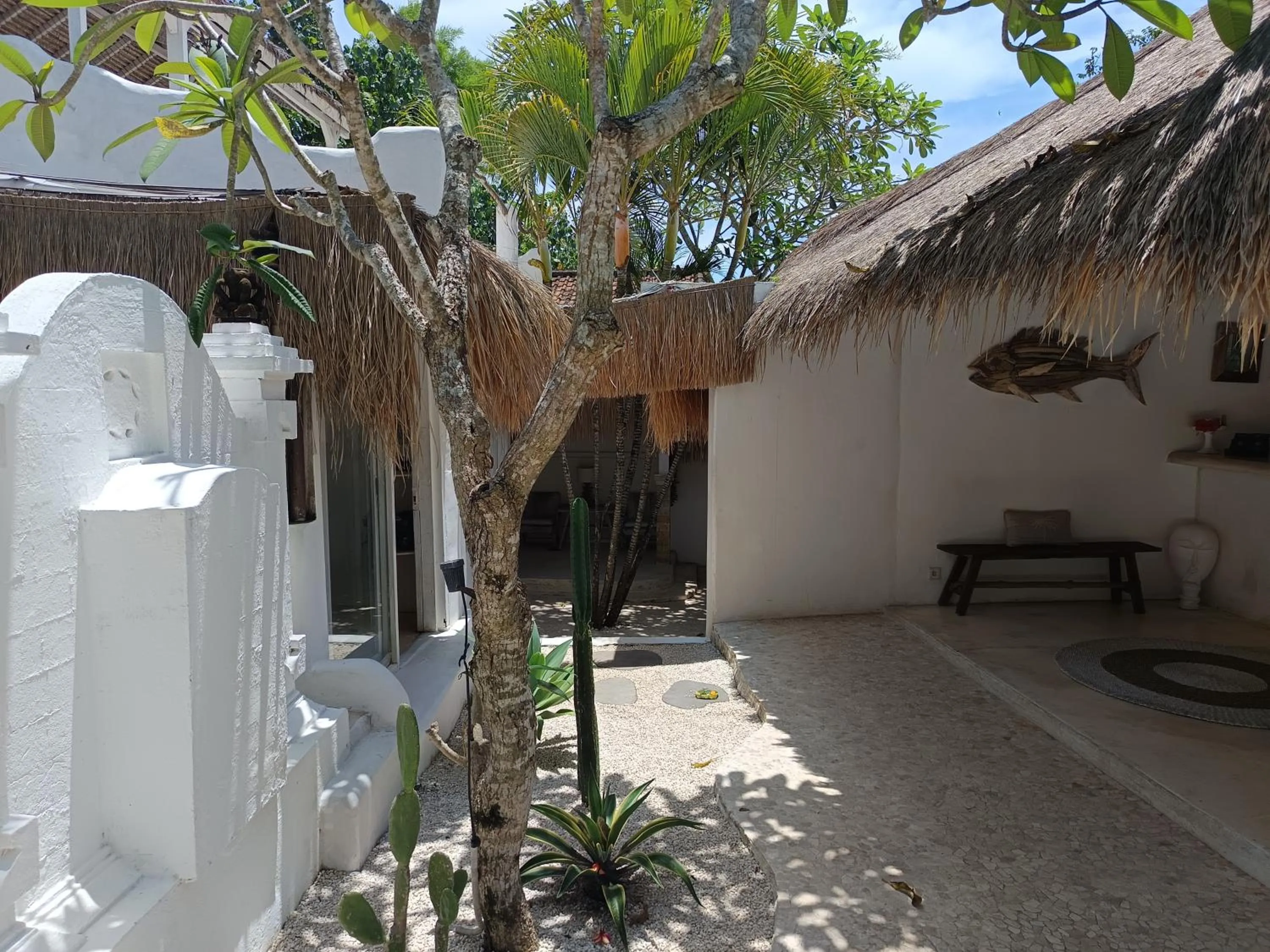 Property building in Sal Secret Spot