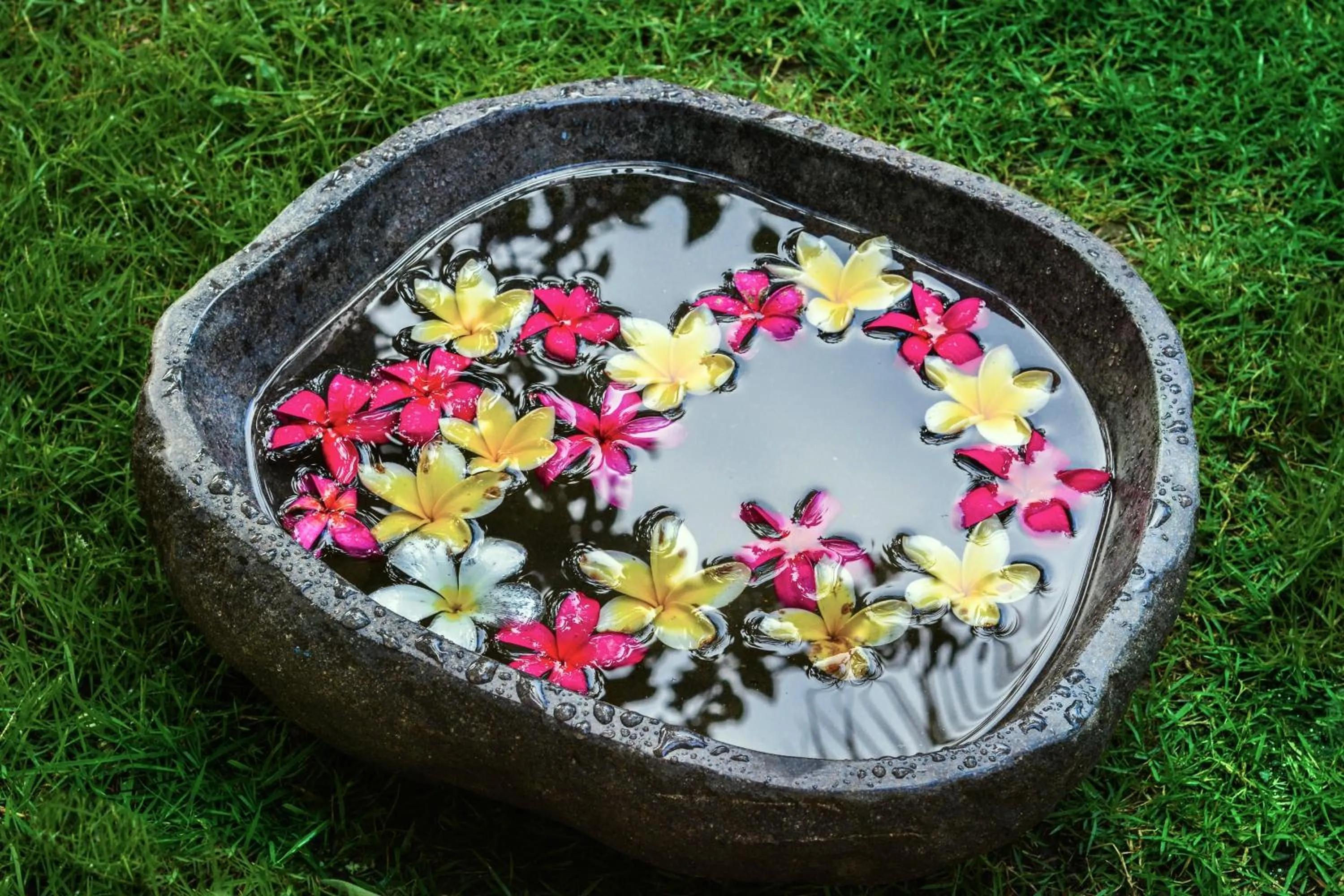 Garden in Sal Secret Spot