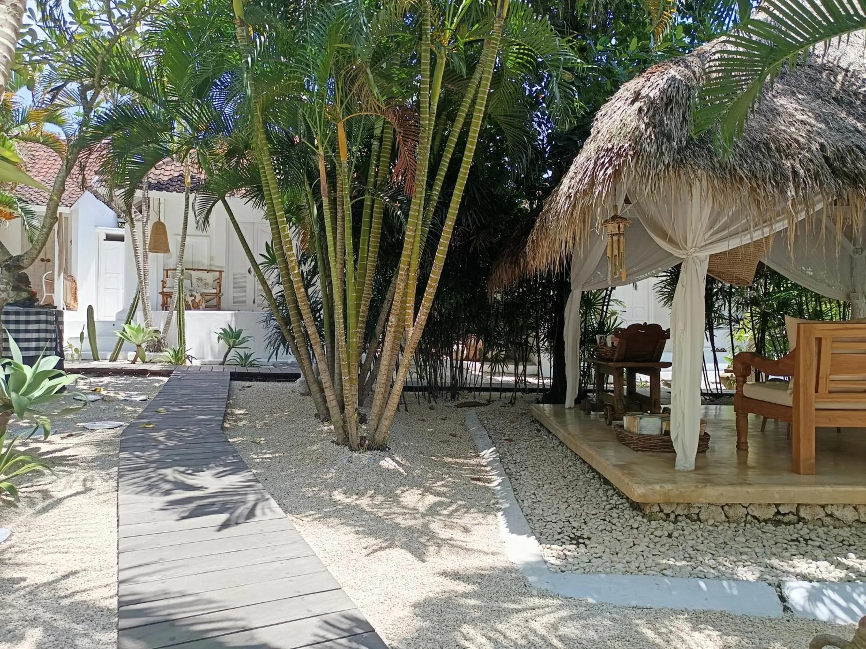 Garden in Sal Secret Spot