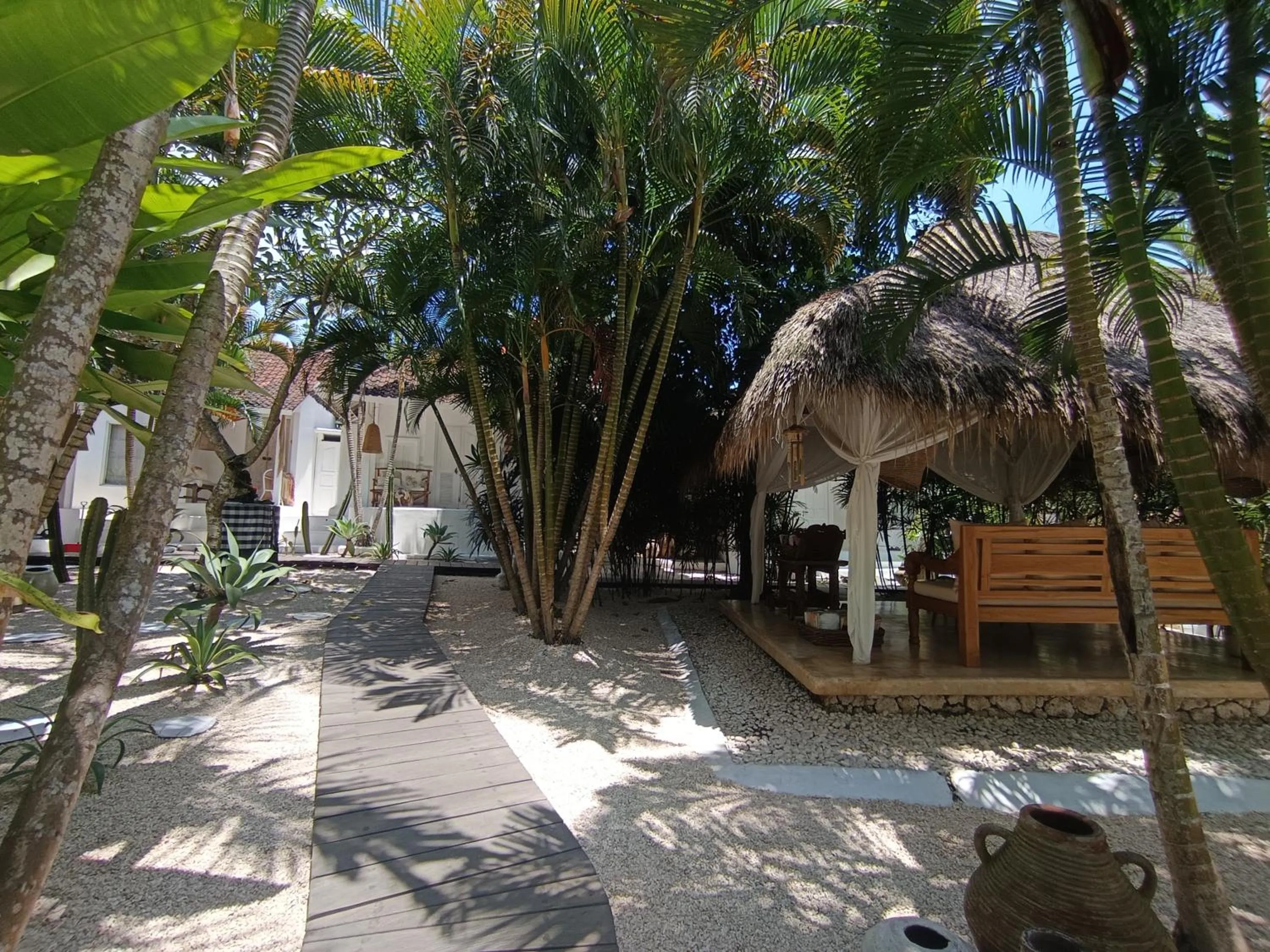 Spring in Sal Secret Spot