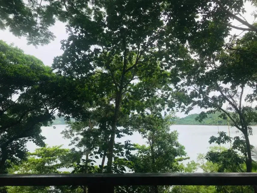 Discovery Island Resort Discovery Island Resort