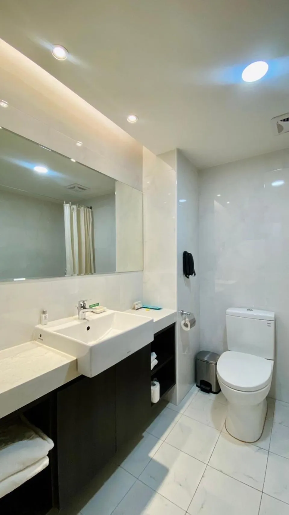 Toilet in Golden Tulip Zhong Xin Hotel Taichung