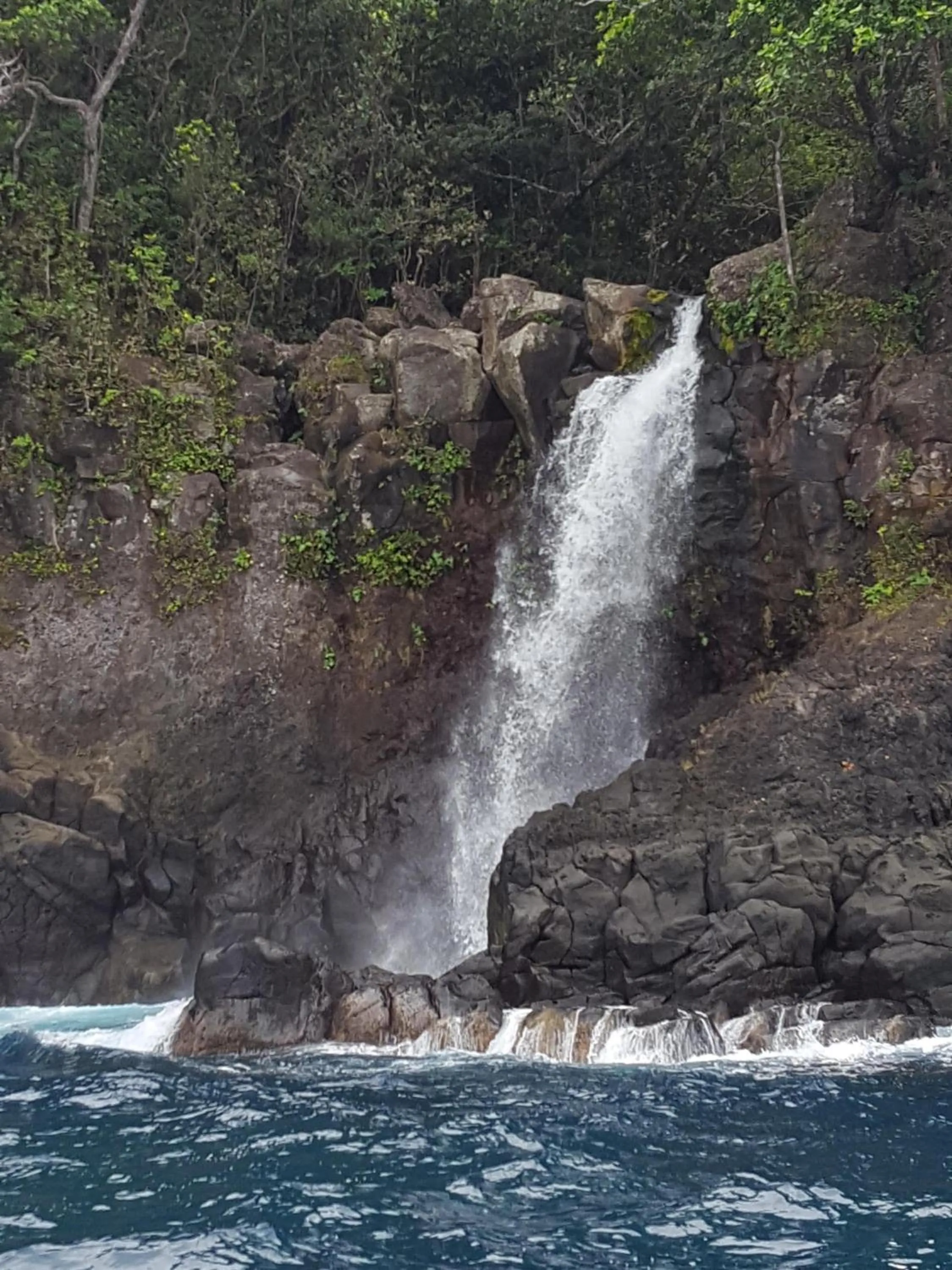 Hiking in Taveuni Palms Resort
